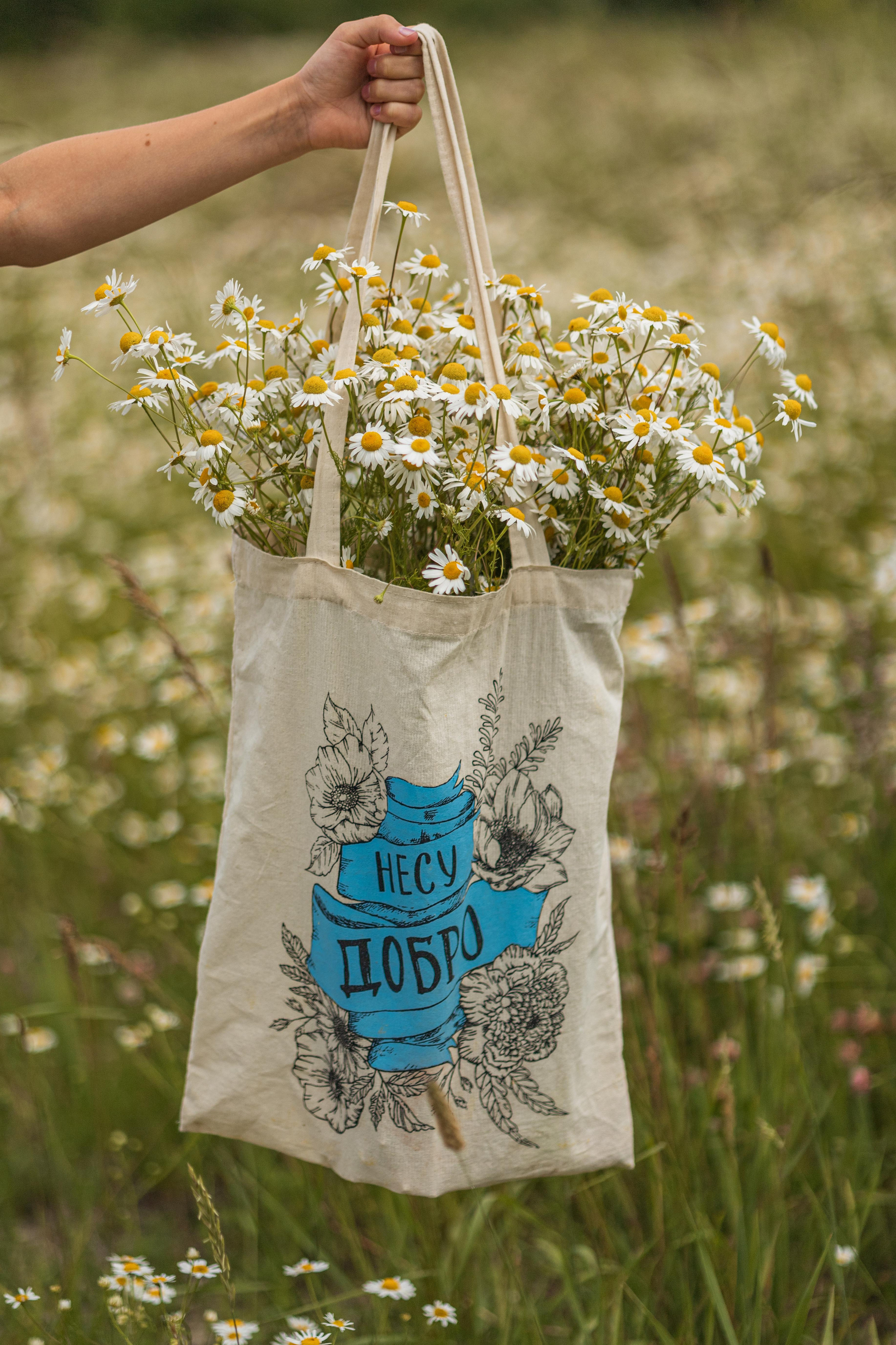 Ромашки. Ваш фотограф в Санкт-Петербурге