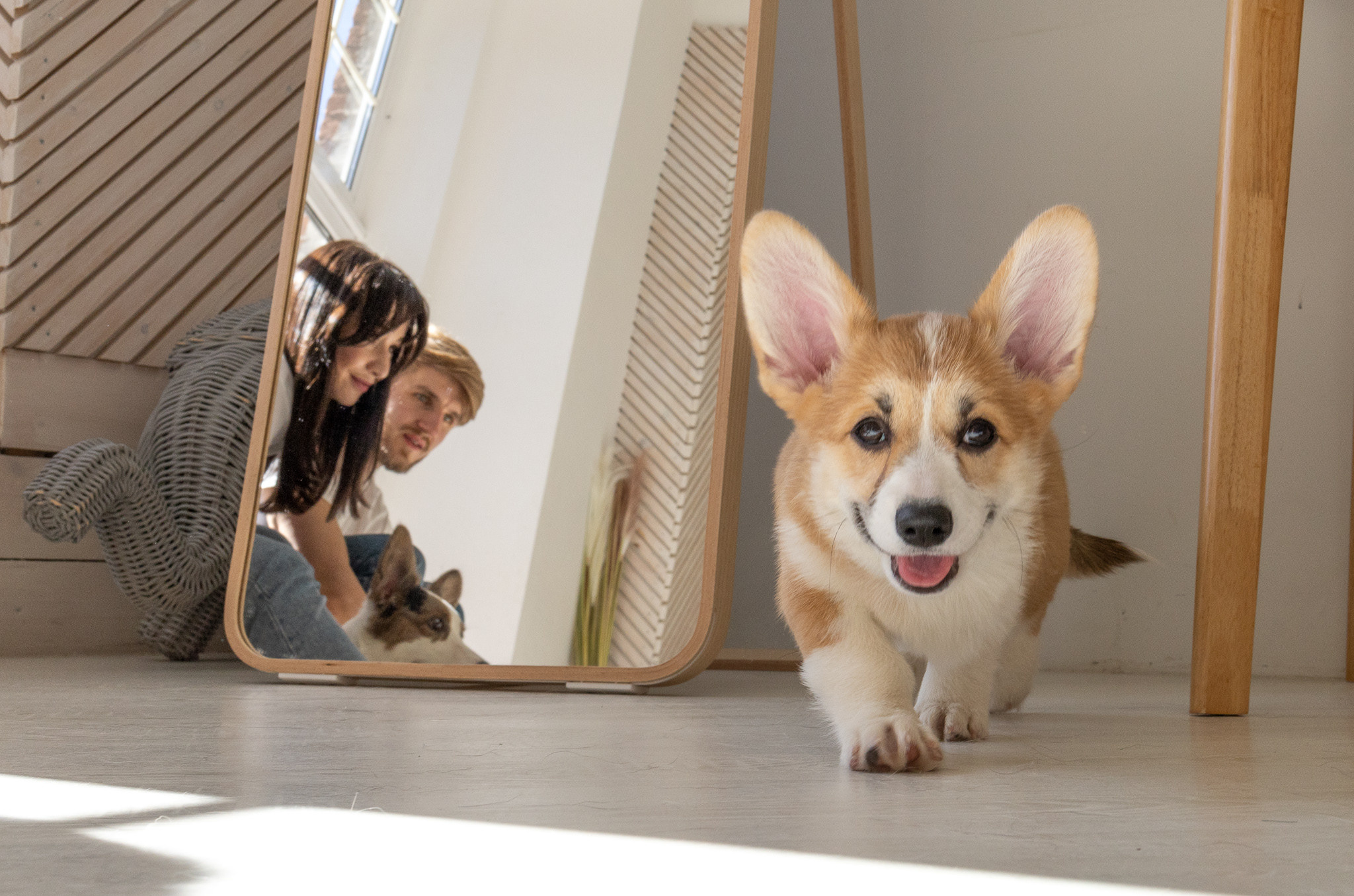 Марина, Саша и две супер корги. Ваш фотограф в Санкт-Петербурге