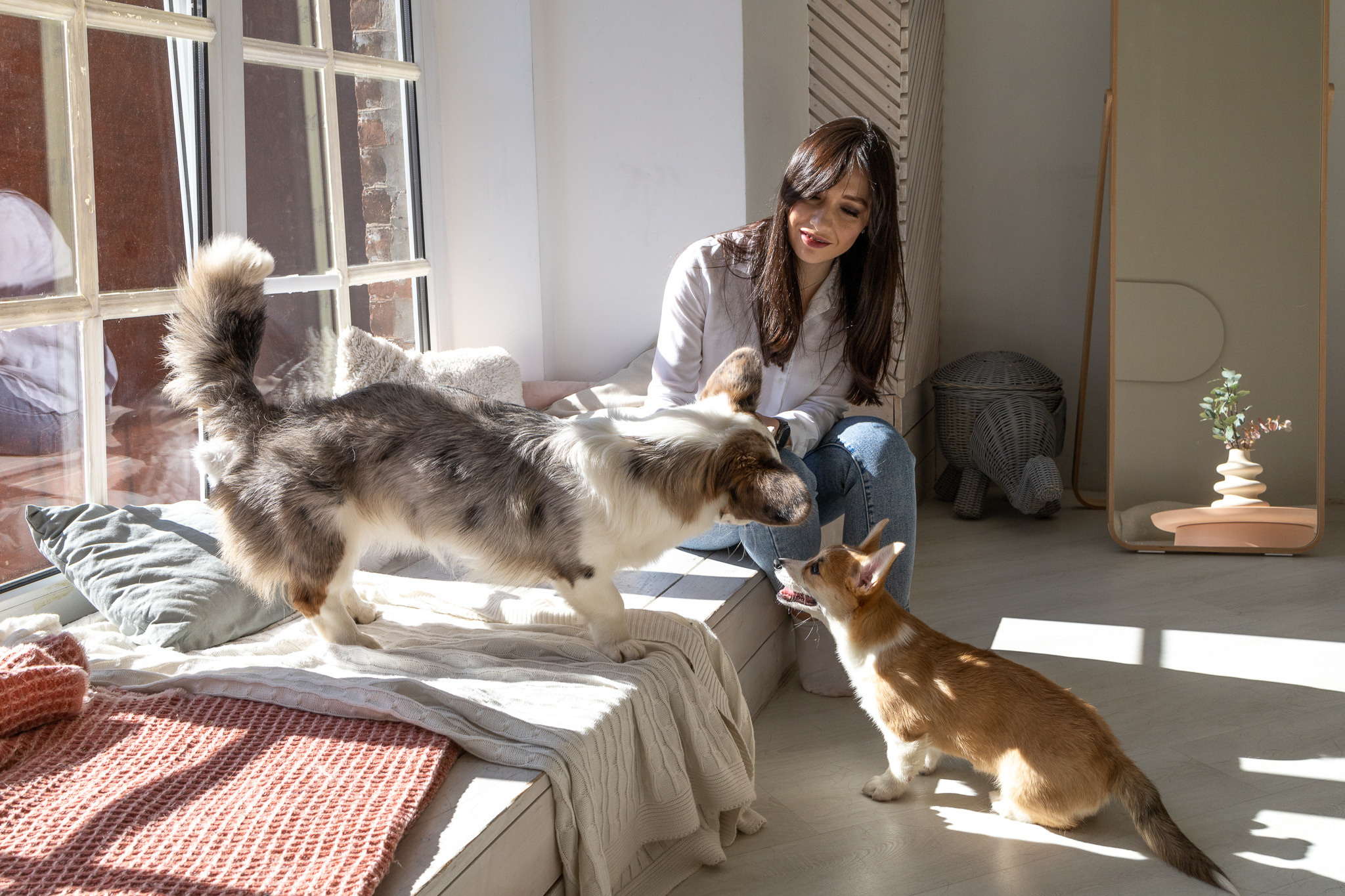 Марина, Саша и две супер корги. Ваш фотограф в Санкт-Петербурге
