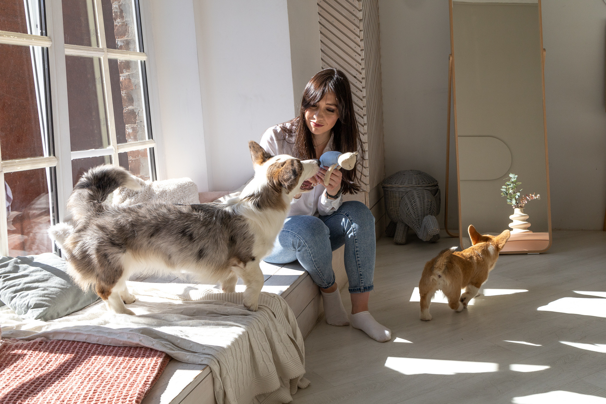 Марина, Саша и две супер корги. Ваш фотограф в Санкт-Петербурге