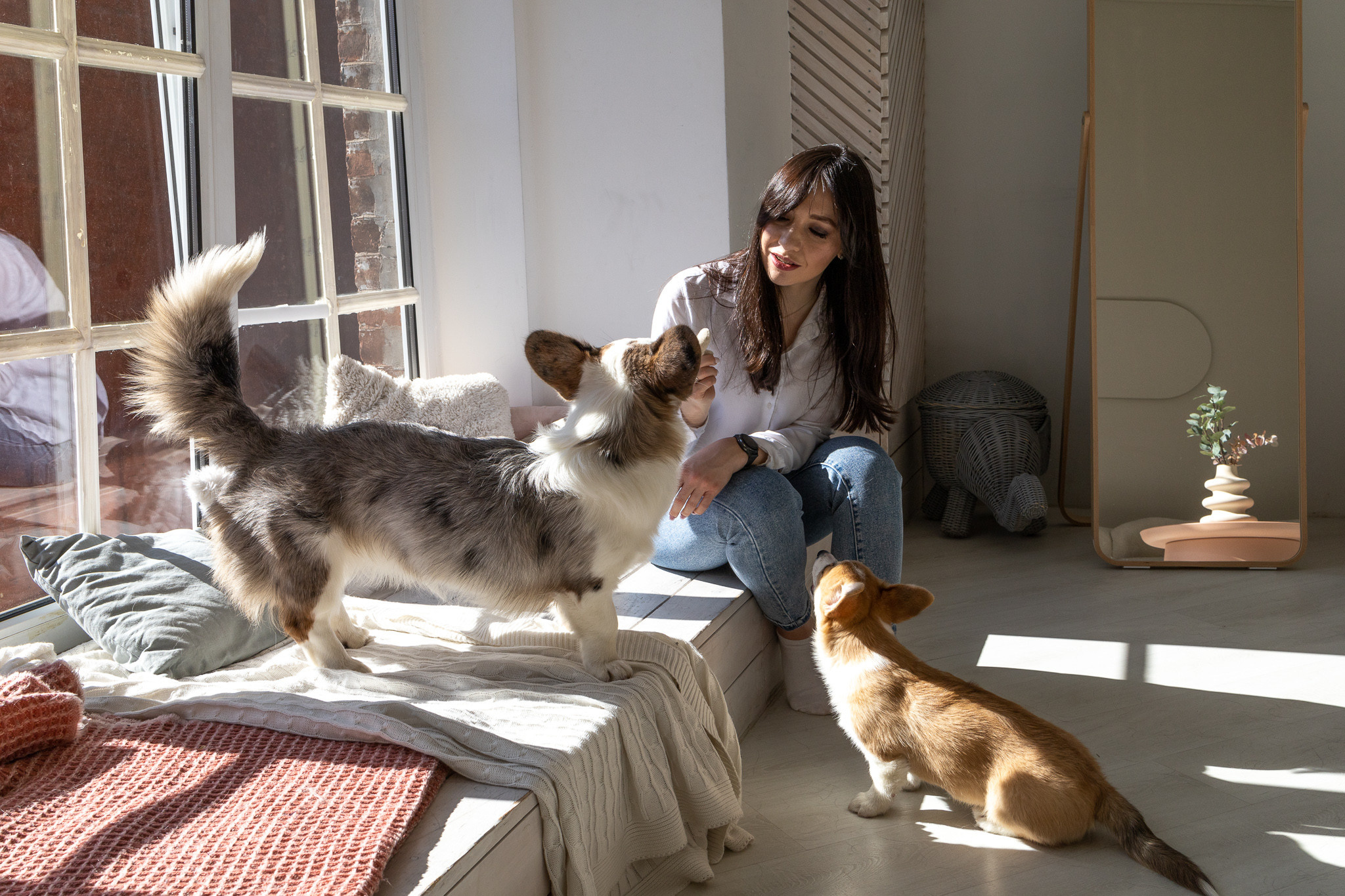 Марина, Саша и две супер корги. Ваш фотограф в Санкт-Петербурге
