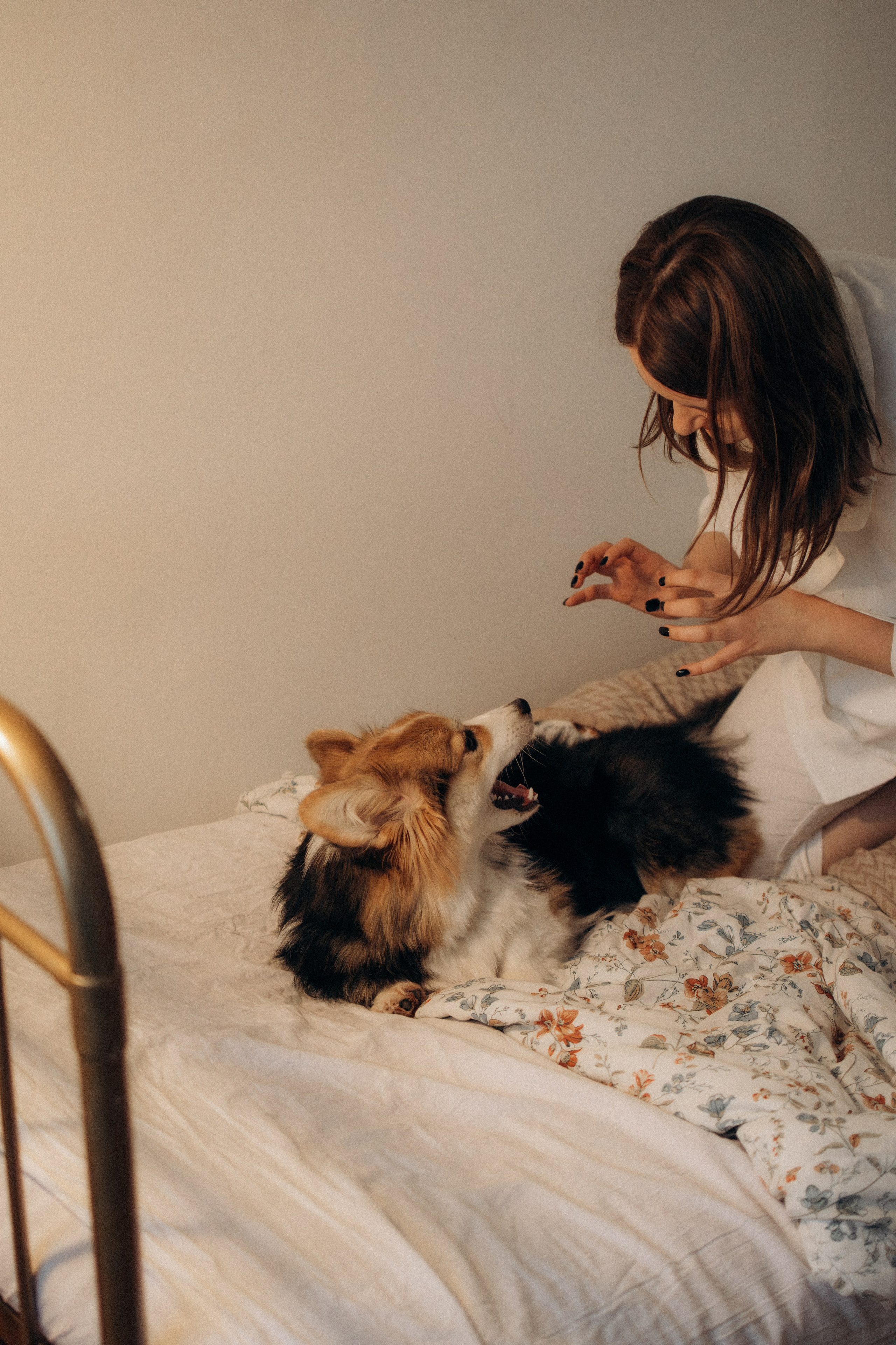 Мишель и Влада. Фотораф — анималист Мария Шистка