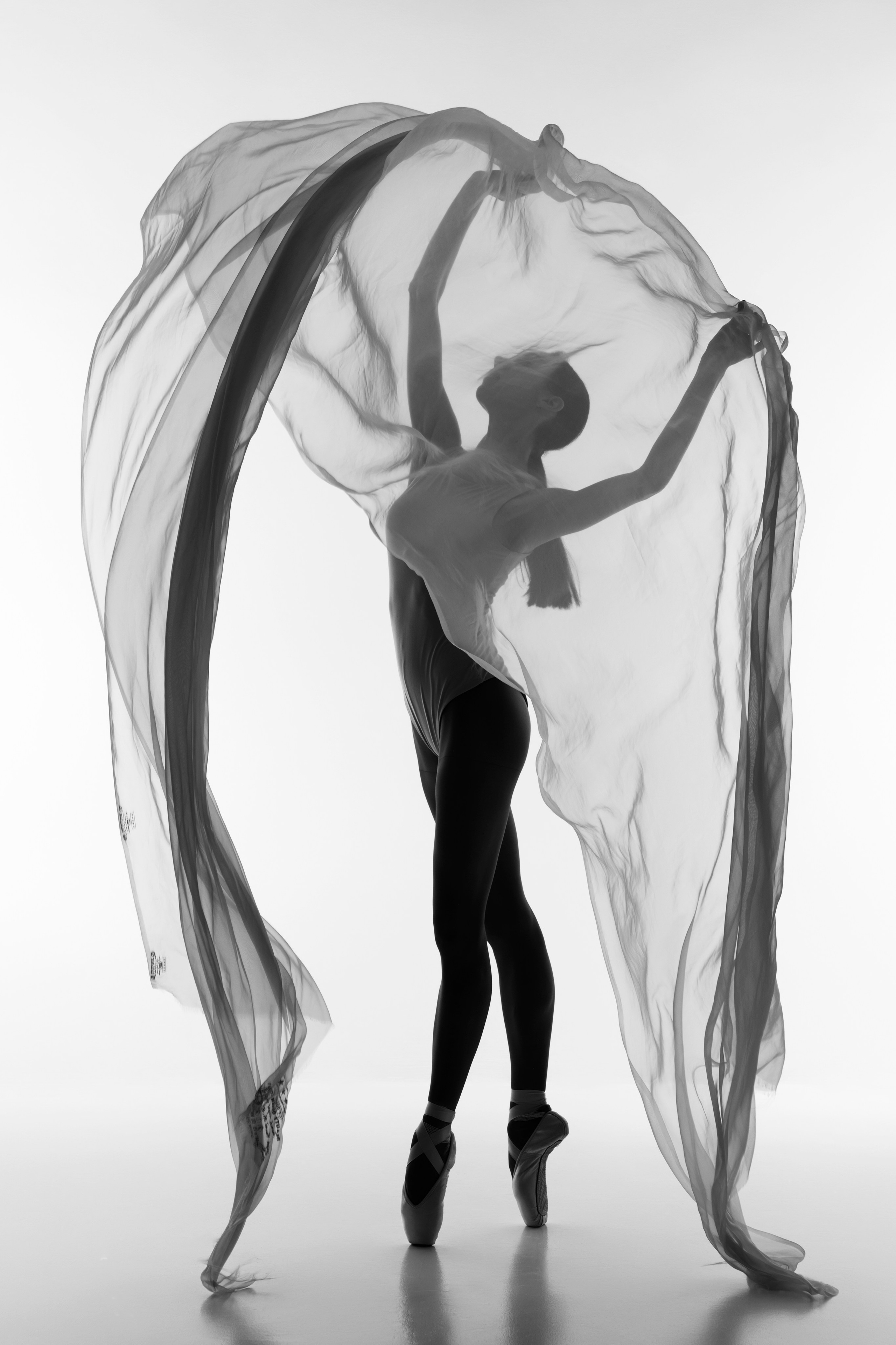 Искусство линии и света