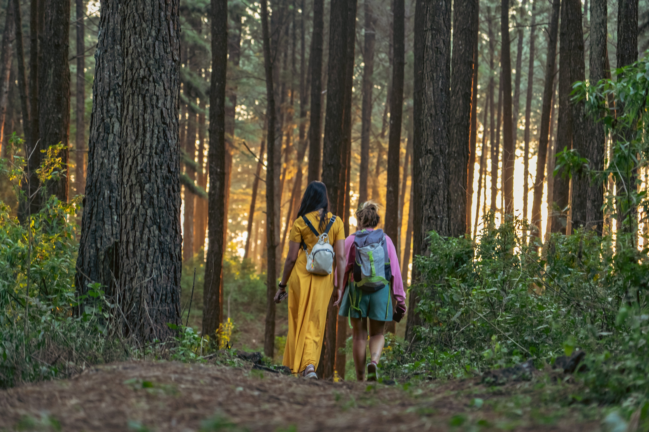 Promo content shooting for Ceylon Forward Tours