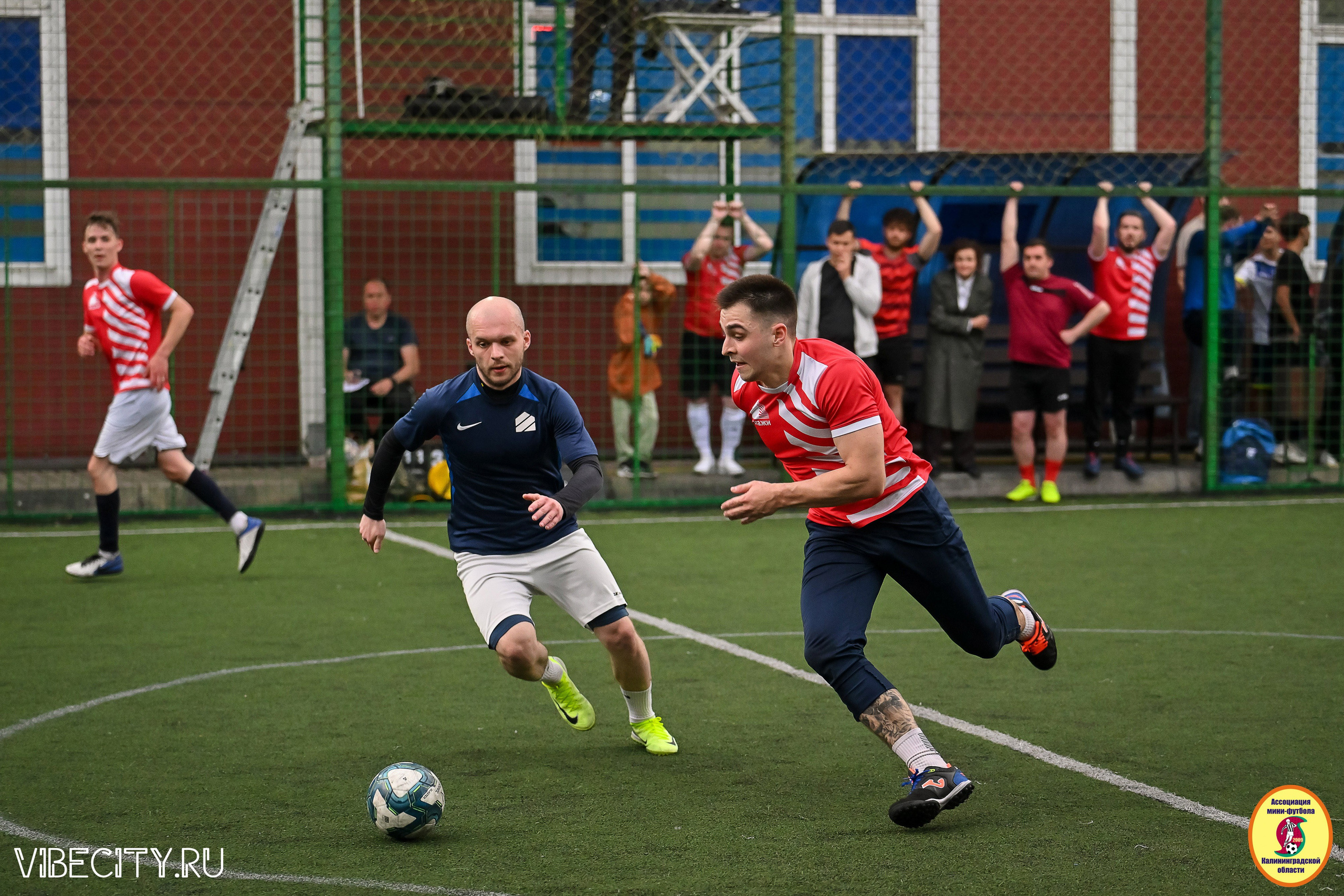 ИГРЫ МИНИ-ФУТБОЛЬНОЙ И КОРПОРАТИВНОЙ ЛИГИ. VIBECITY.RU Вайб Сити Ру Фоторепортажи Фотоотчеты Калининград