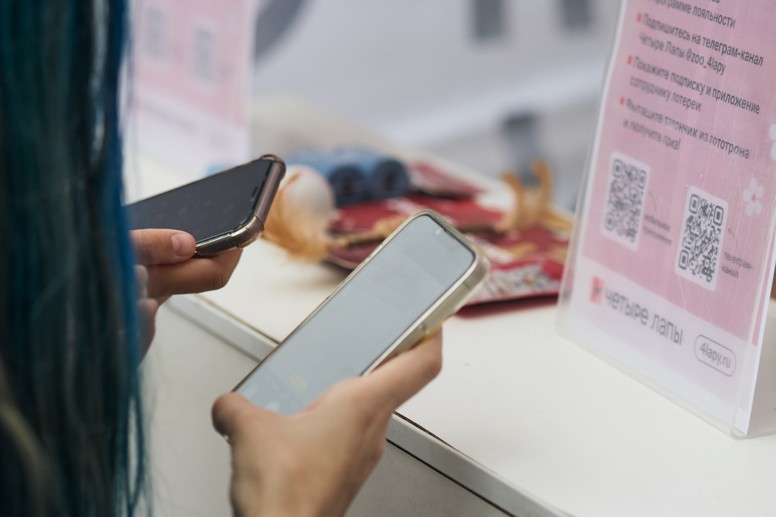 Четыре Лапы. Свадебный и репортажный фотограф Дмитрий Кононенко