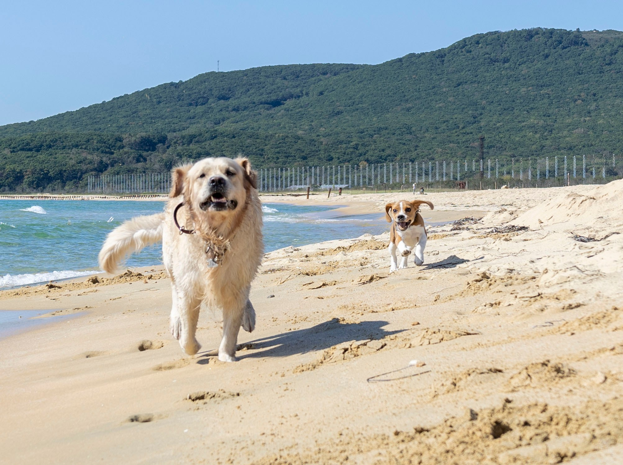 Фотосессии. Фотограф г. Владивосток