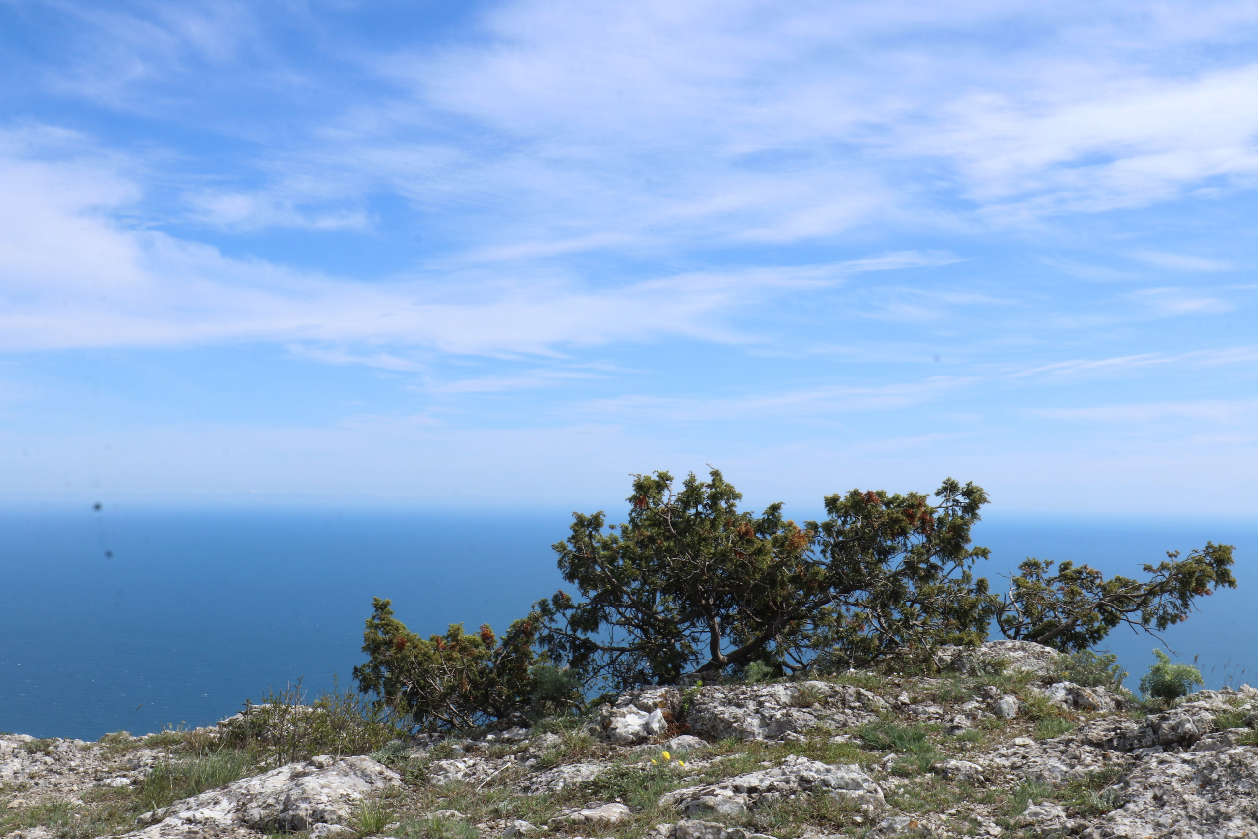Крым. ЮБК (Севастополь, Кастрополь, Ялта). Май 2023. Путешественник-фотограф из Санкт-Петербурга Татьяна Свистулина