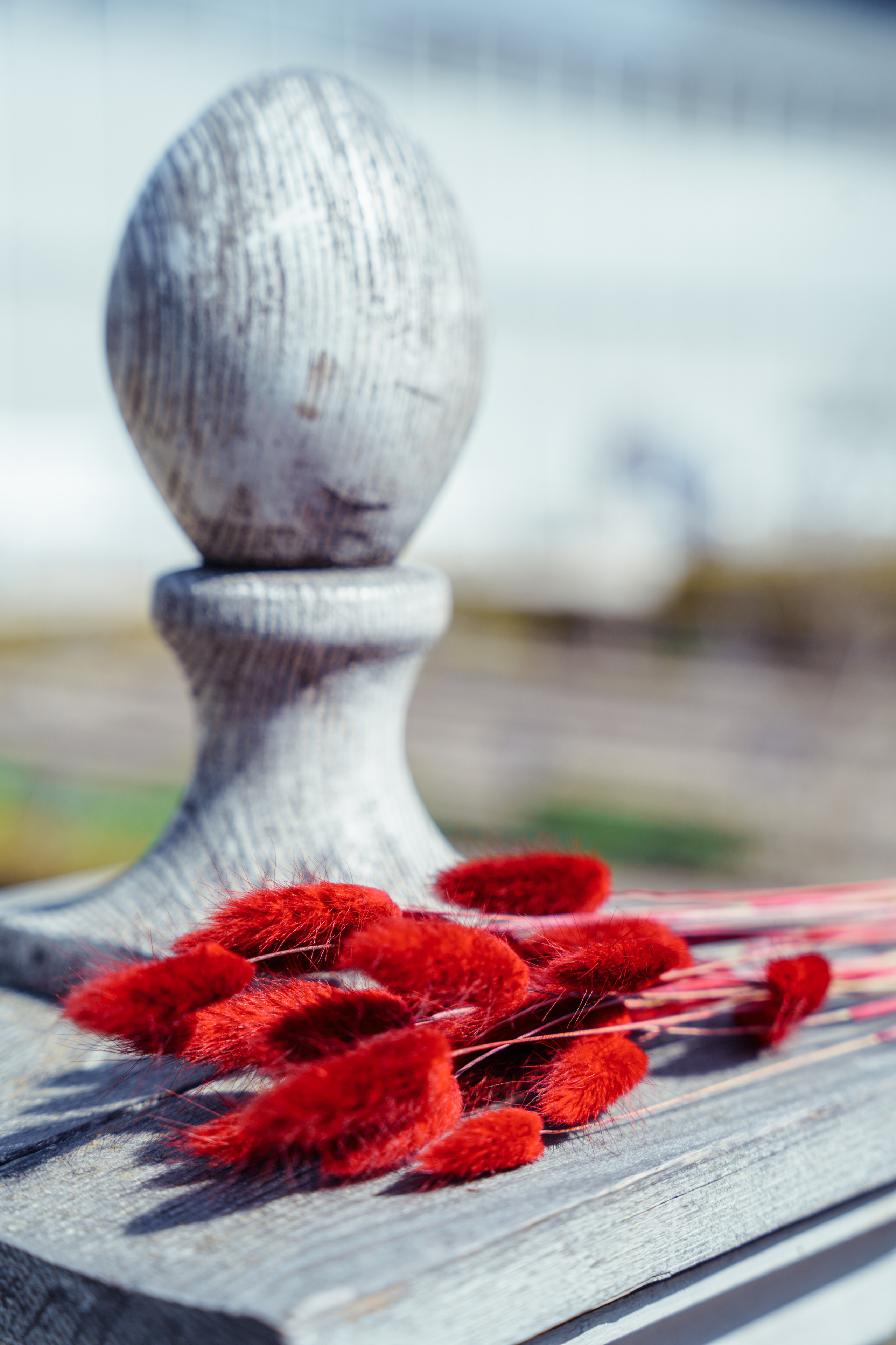 Татьяна — флорист. Фотограф Нинель Гюрсой, г. Москва