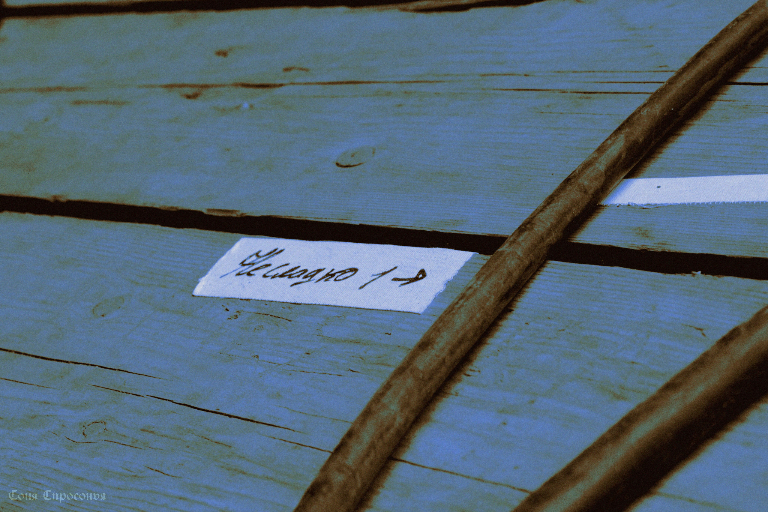 Синестетик 26.08.23. Концертный и портретный фотограф в Москве Соня Спросонья