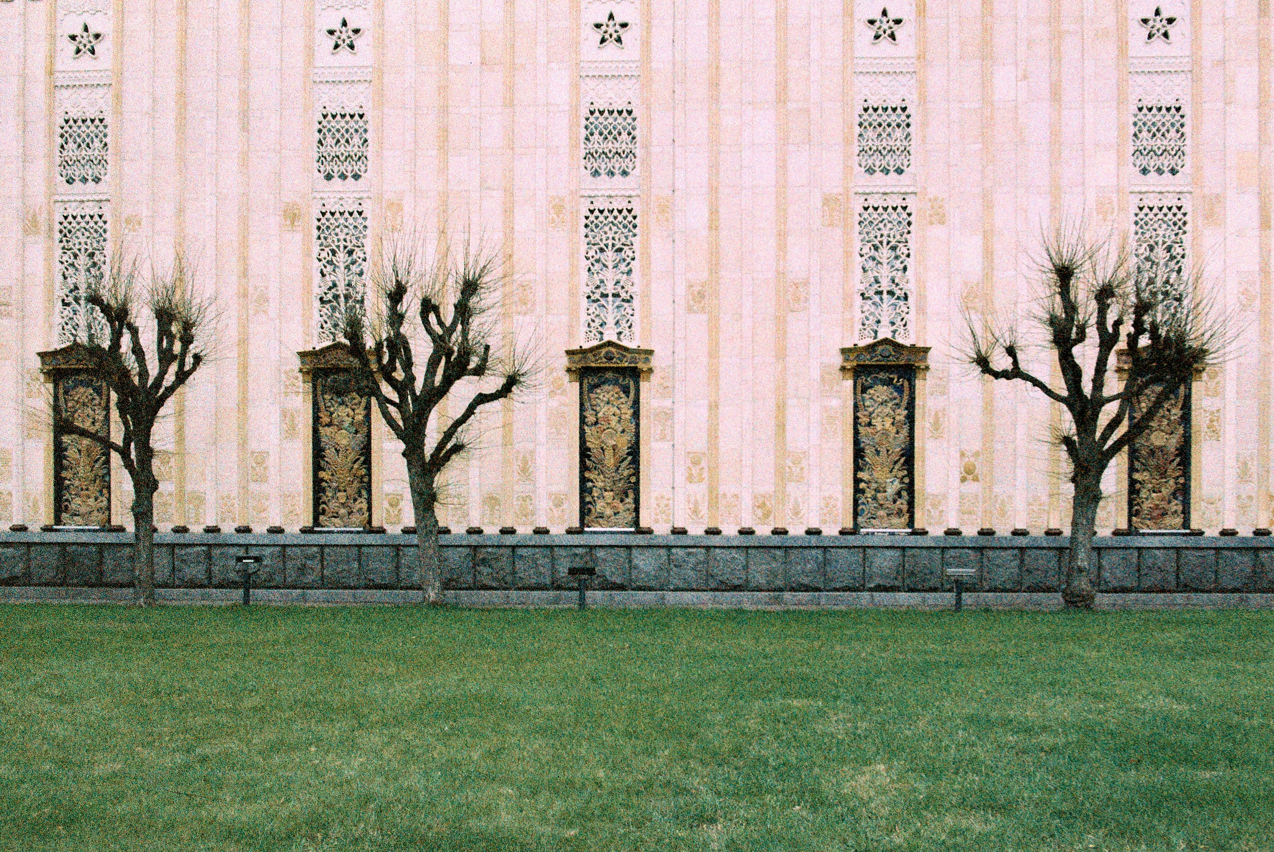 Фотосессии на пленочный фотоаппарат Nikon F6