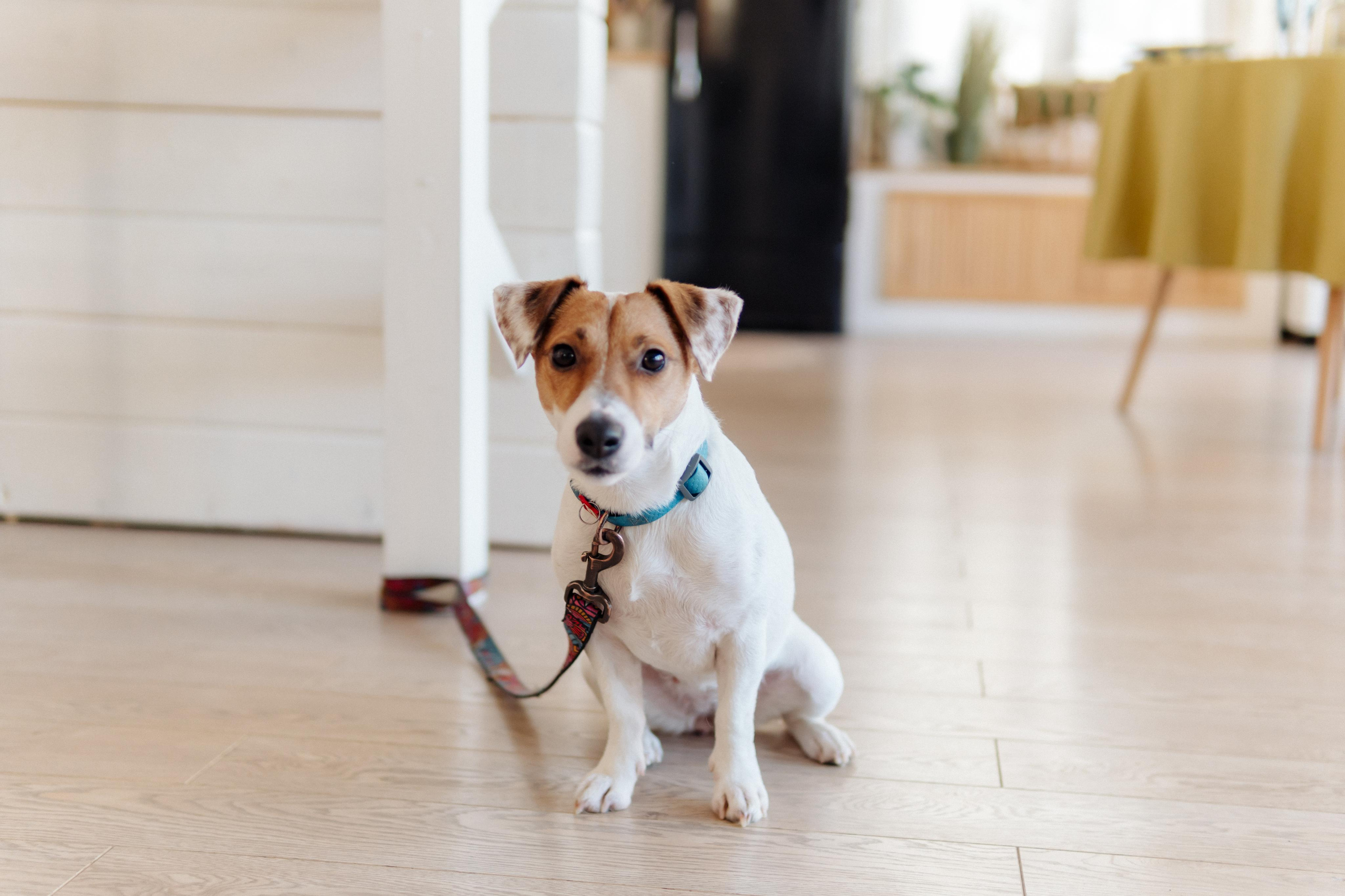 Фотосессия Большой Семьи. Семейный и детский фотограф в Самаре Анна Игнатова