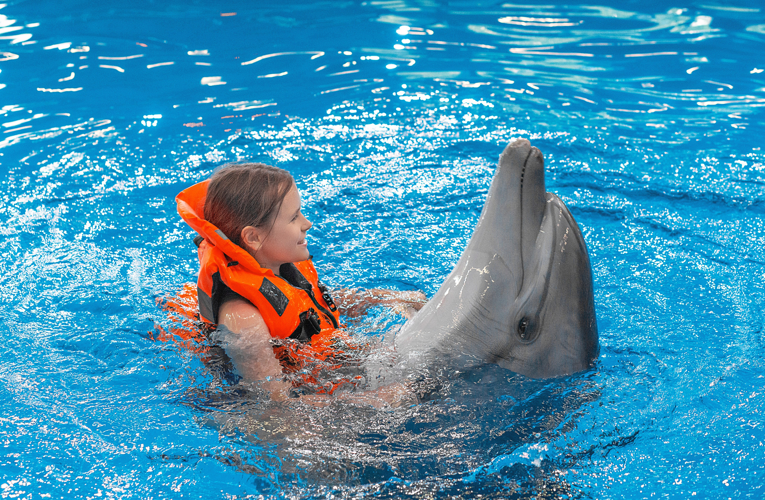 Фотосессия с дельфинами. Фотосессия с лошадьми в Нижнем Новгороде