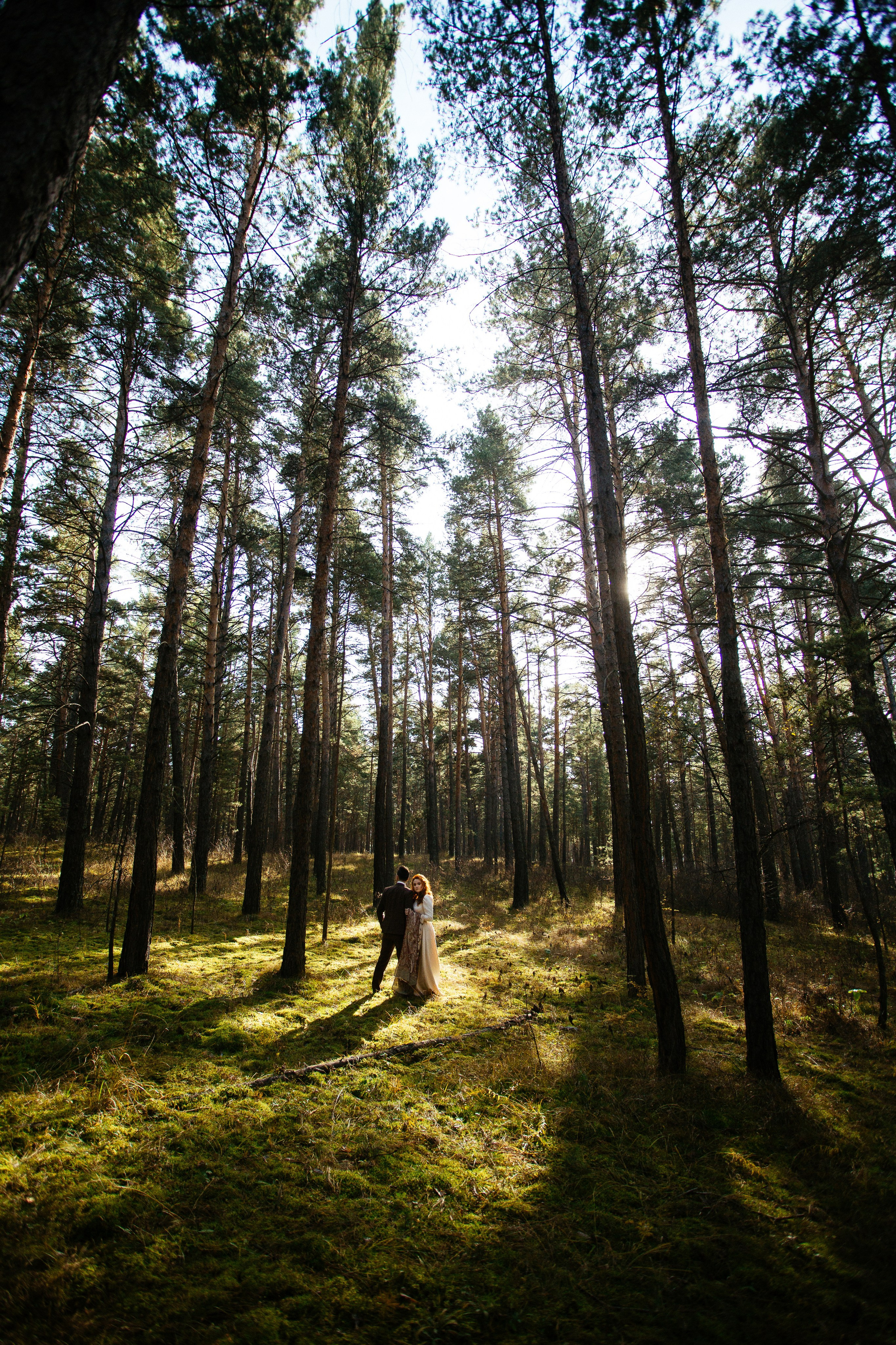 Дарья и Дмитрий. Свадебный фотограф Абакан