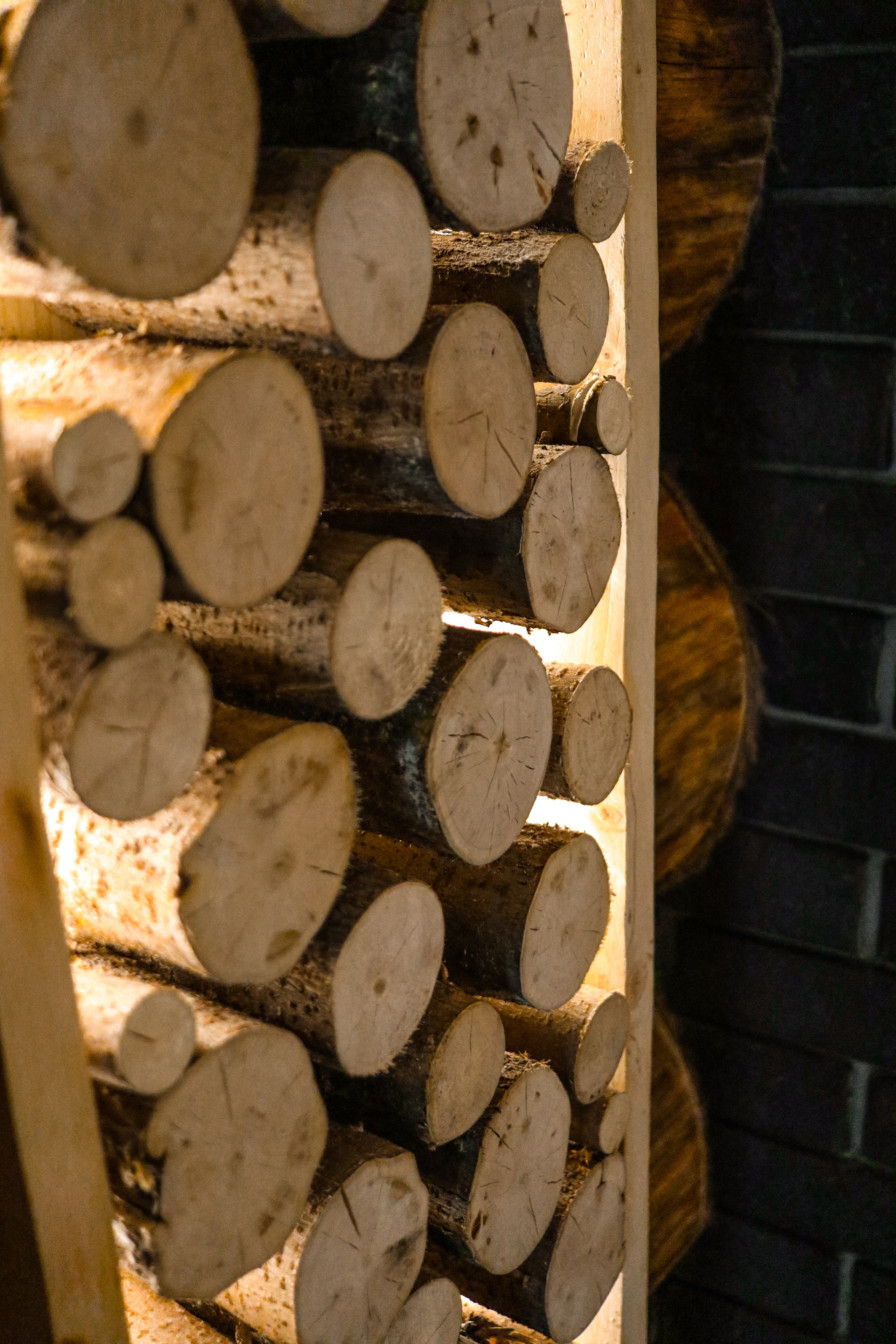 «Pinewood» банный комплекс, респ. Алтай. Контент фотограф Дмитрий Борисов