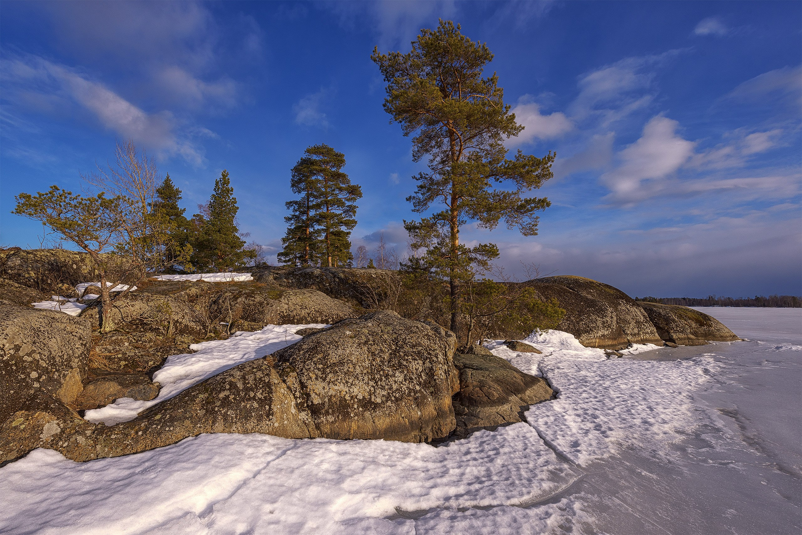 Пейзажи. Сайт фотографа Елены Михайловой. Фотосессии на пленэре в Сестрорецке
