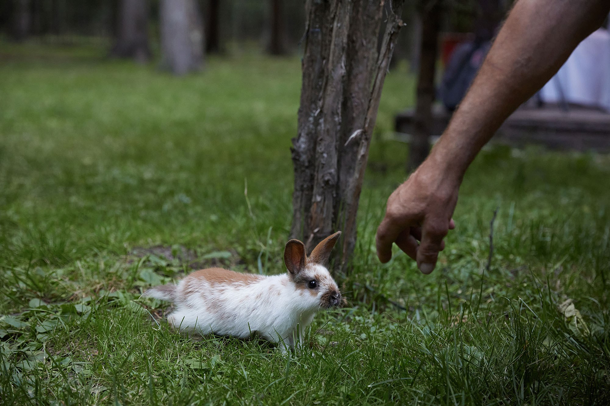 Фотосессия на юбилей или день рождения. Фотограф в Москве Валерий Боцман