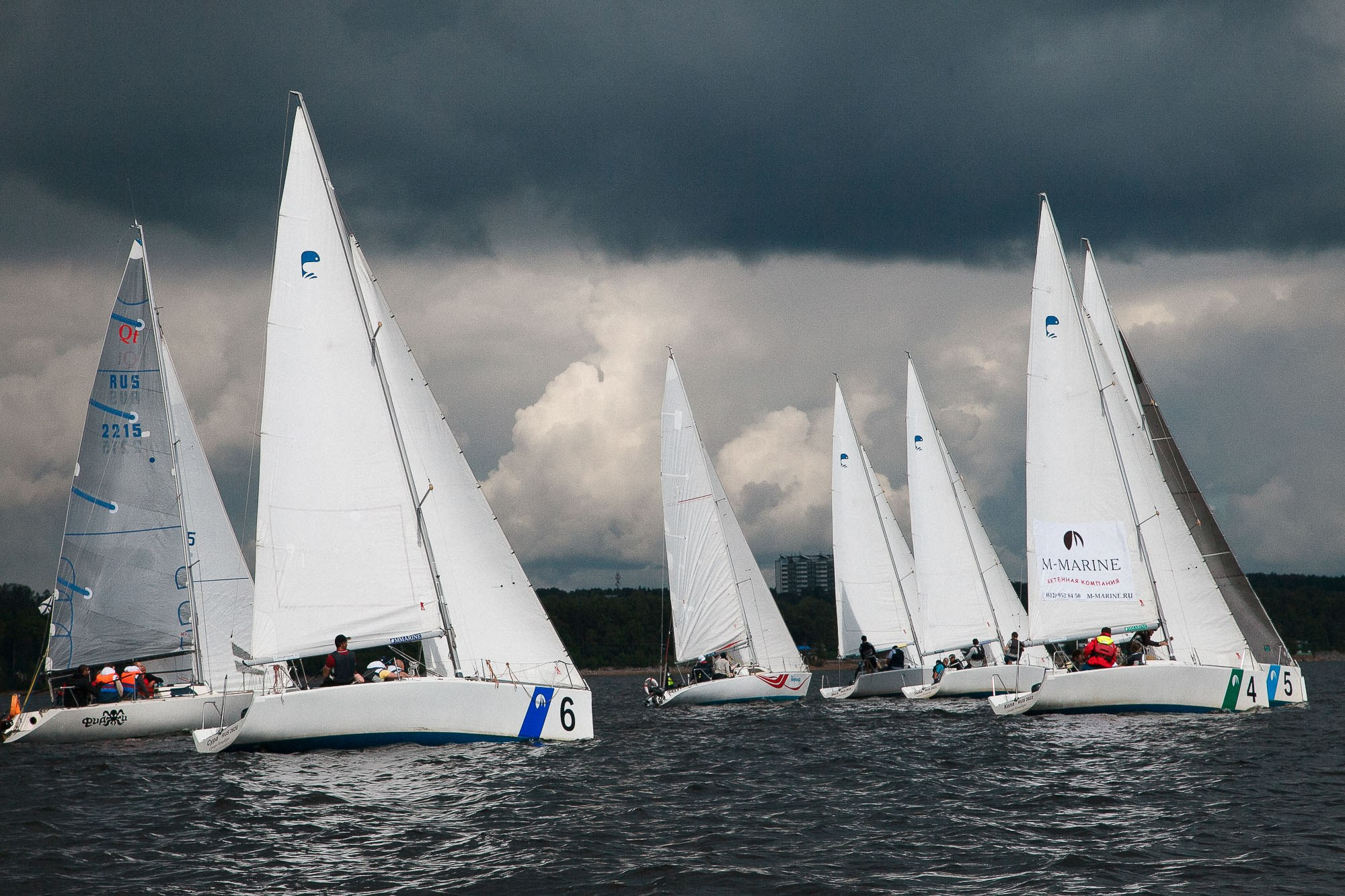 Летний корпоратив «МДС». Рабочая сторона — бизнес портрет и репортаж в Санкт-Петербурге