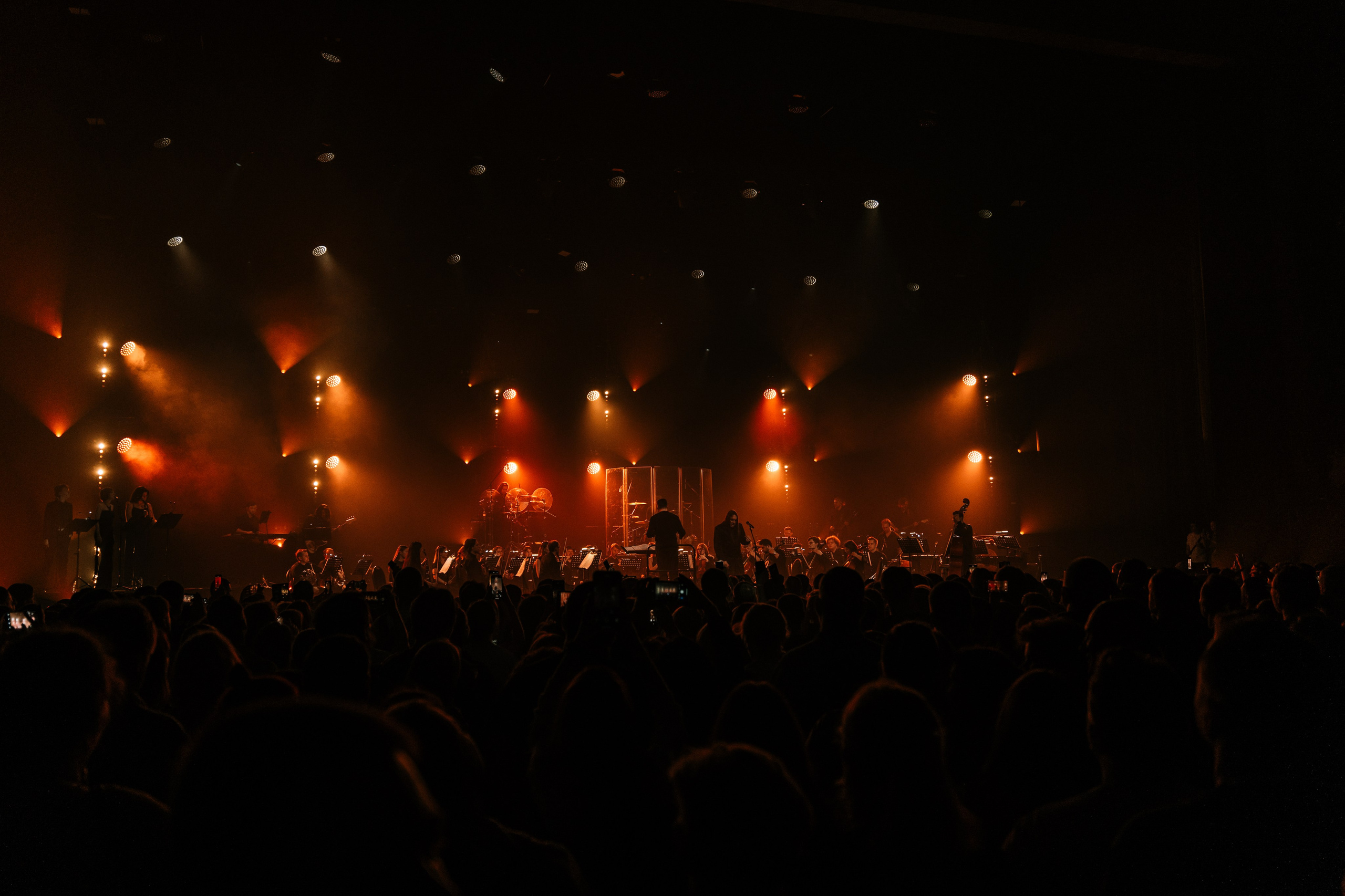 Алексей Горшенёв. Магия музыки в кадре: Концертная Фотография