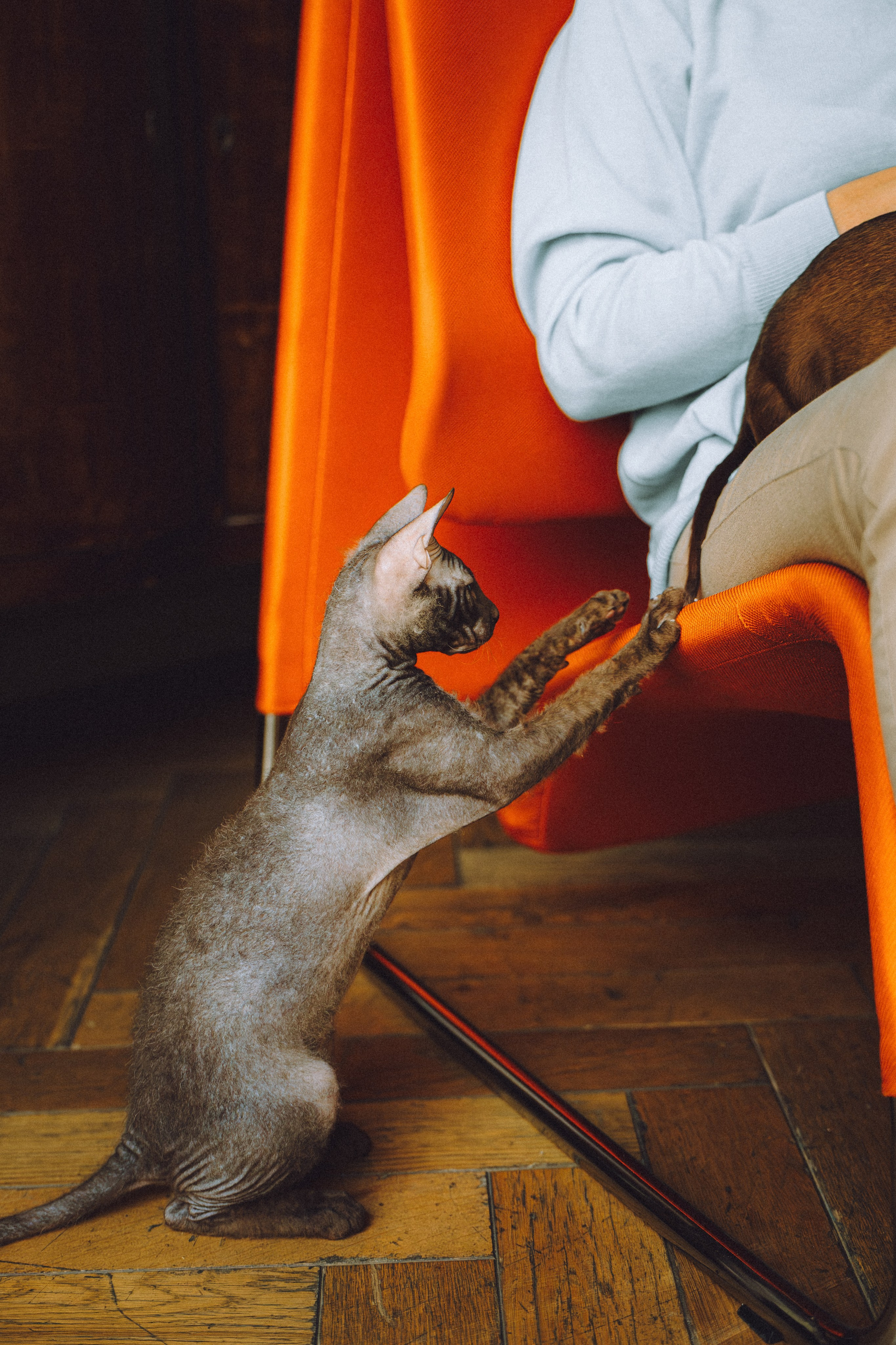 Кокос, Света, Динара и Вилли