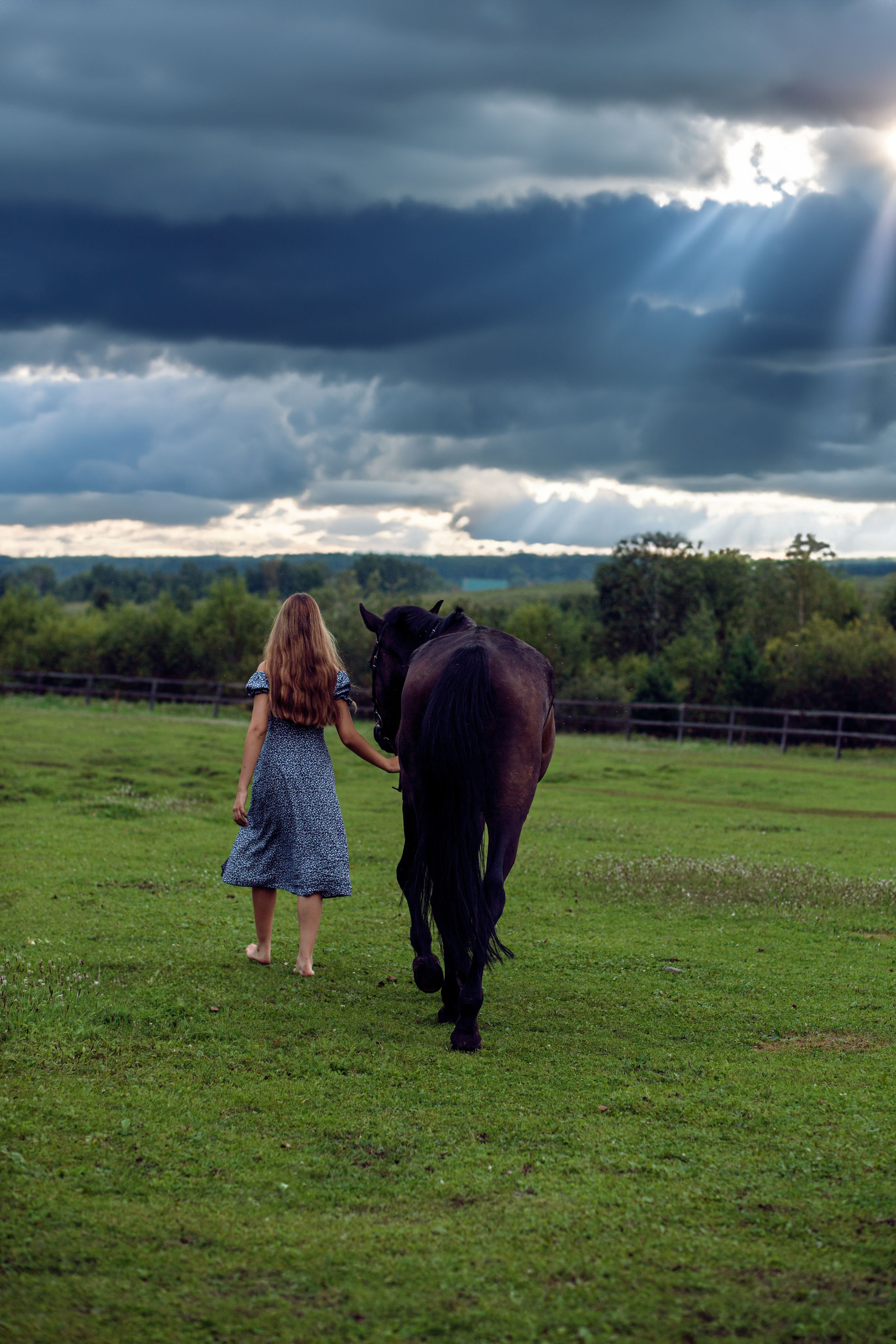 Конный двор. Конный фотограф в Красноярске — Любовь Похабова