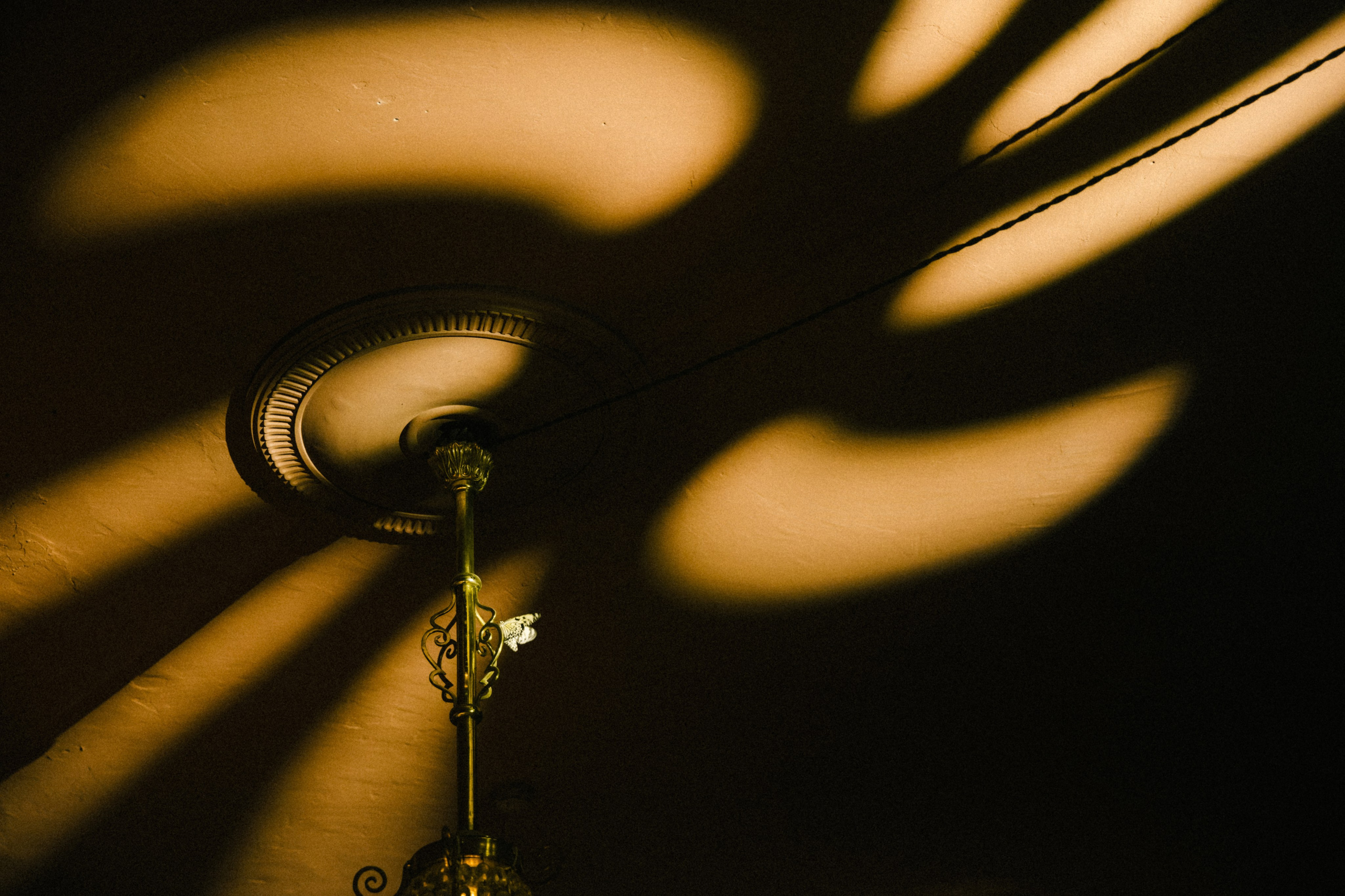 Маша и Рома. Свадебный фотограф в Краснодаре и по всему ЮФО и Миру Ольга Гусева