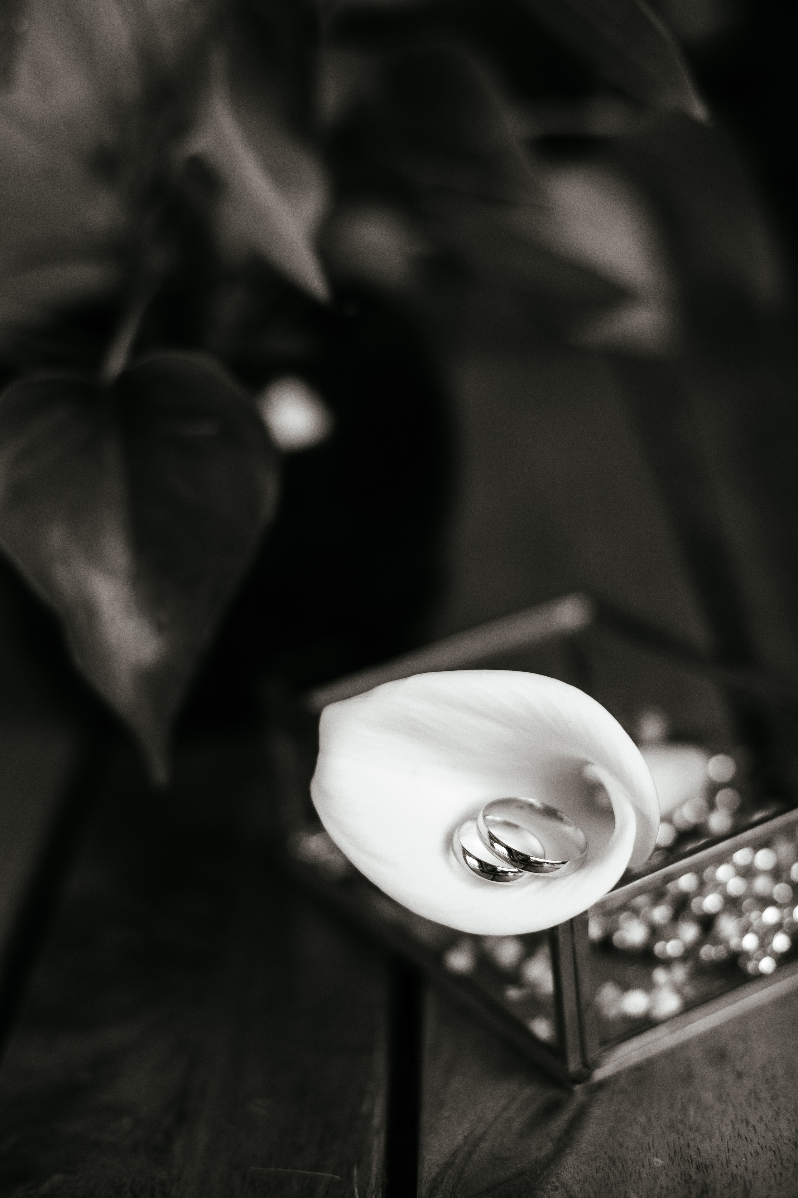 Никита и Анна. Никита Селиванов, свадебный фотограф в Воронеже