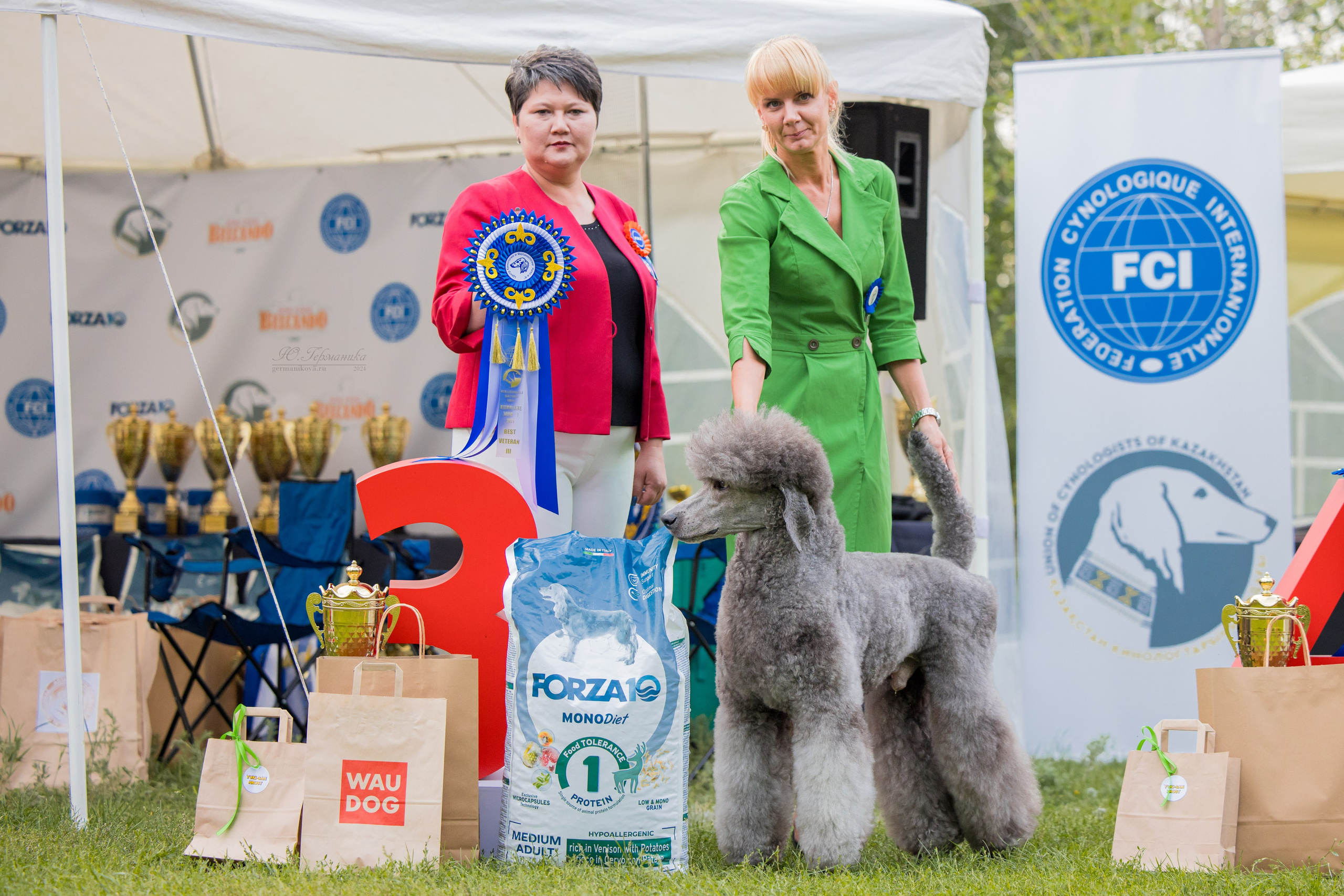 Астана 2хCACIB 17-18.08.2024. Фотограф-анималист Юлия Германика