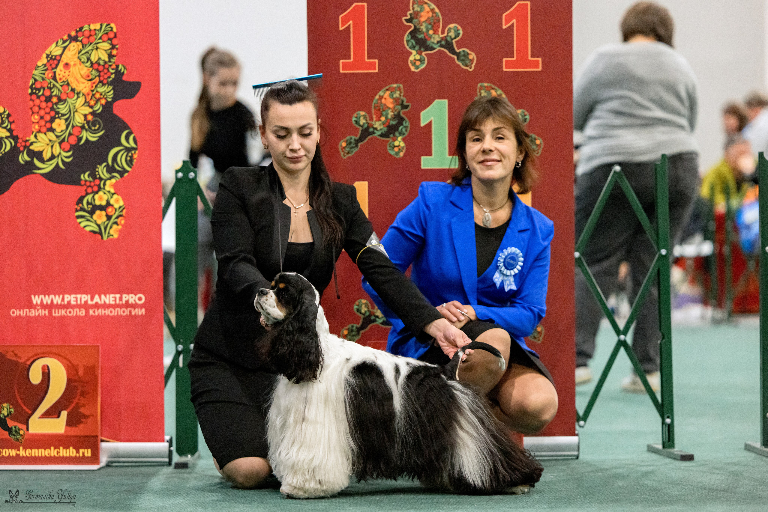 Сфера 29.10,Крокус 4.11,Сфера 12.11.2023. Фотограф-анималист Юлия Германика