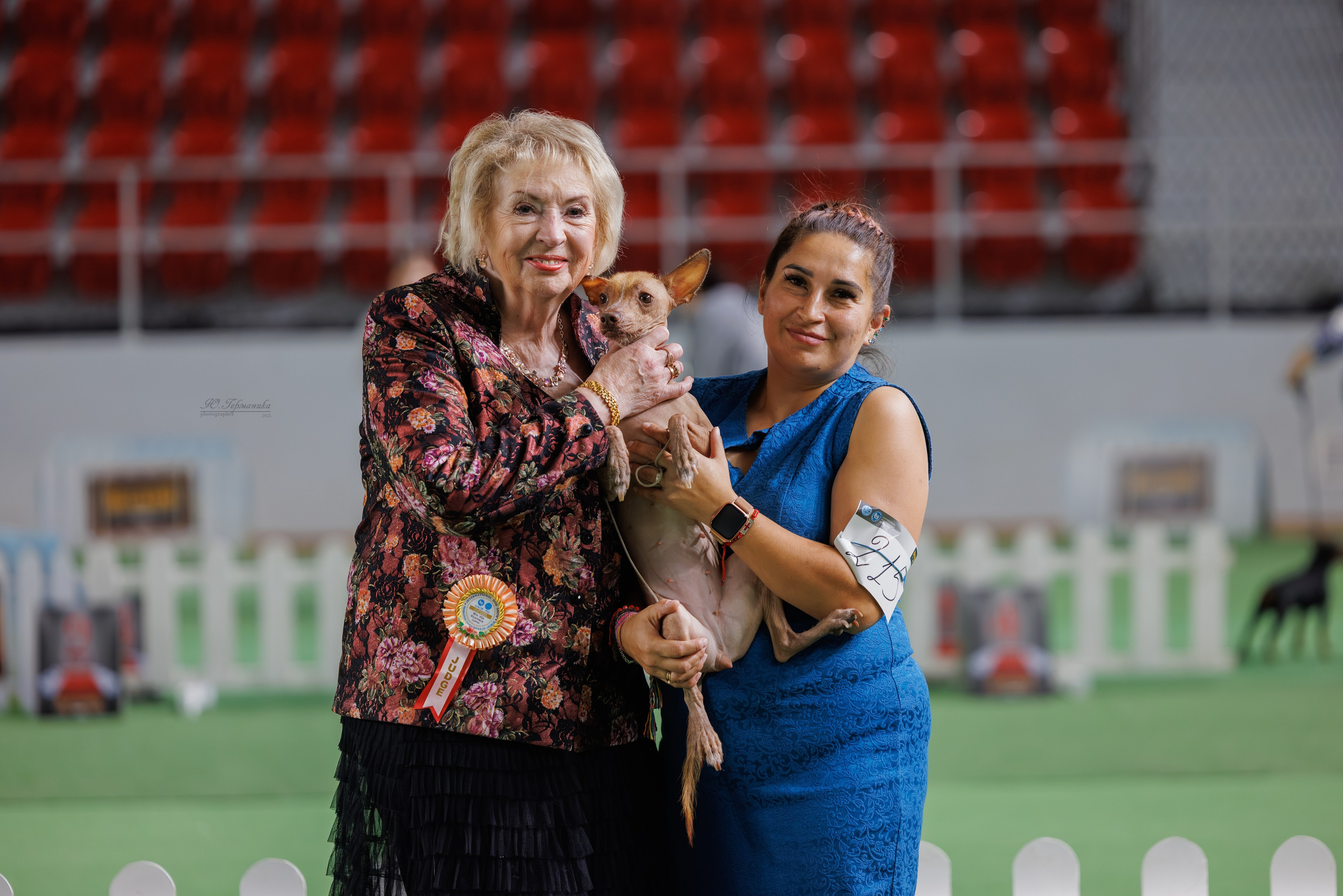 Телави 11-12.10.2025. Фотограф-анималист Юлия Германика