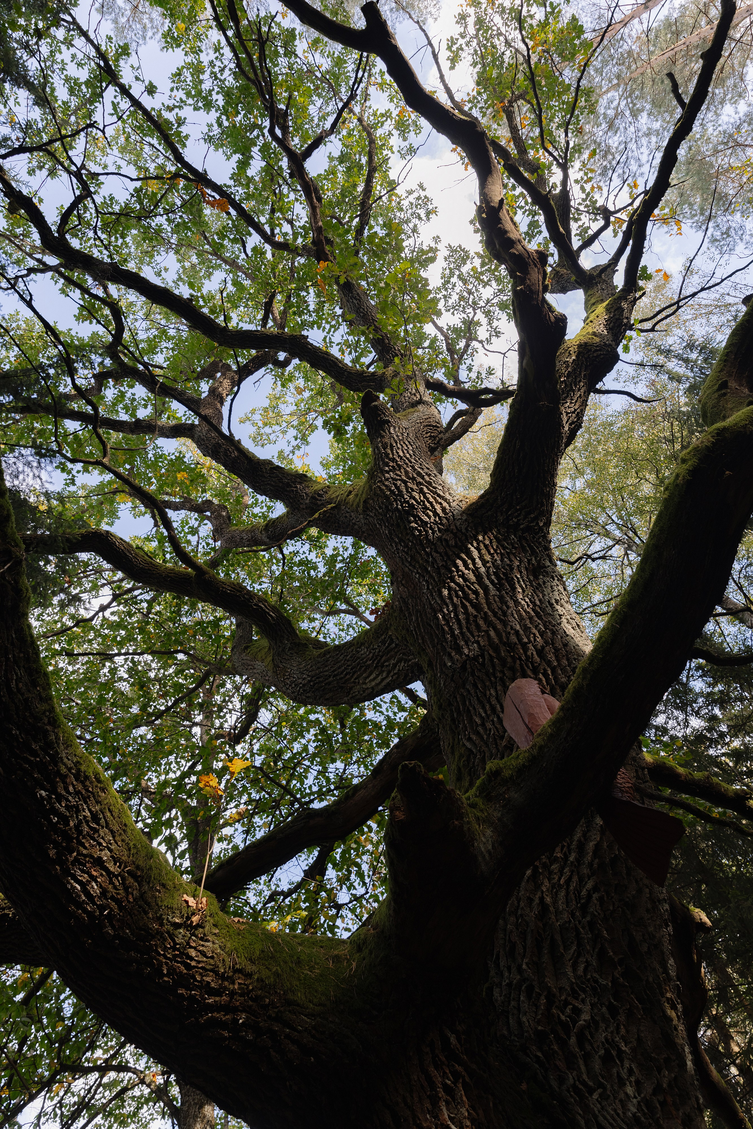 Корпоративная фотосъемка для ОАО Белагропромбанк в Суле в Загородном комплексе Westa. Свадебный фотограф в Минске/Беларуси Сергей Спиридонов