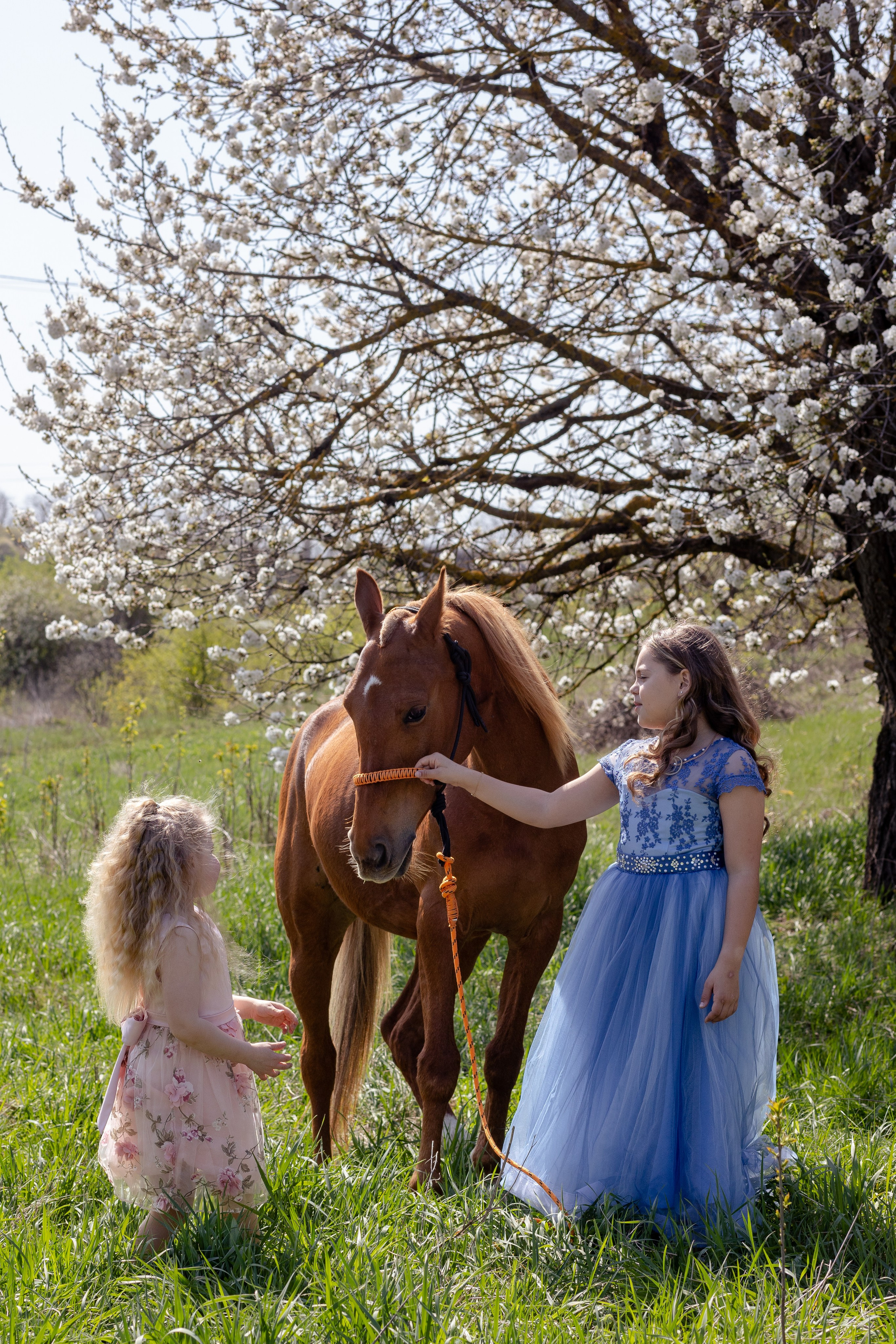 Фотосессии с лошадьми. Ваш фотограф в Крыму | Соболевская Анастасия