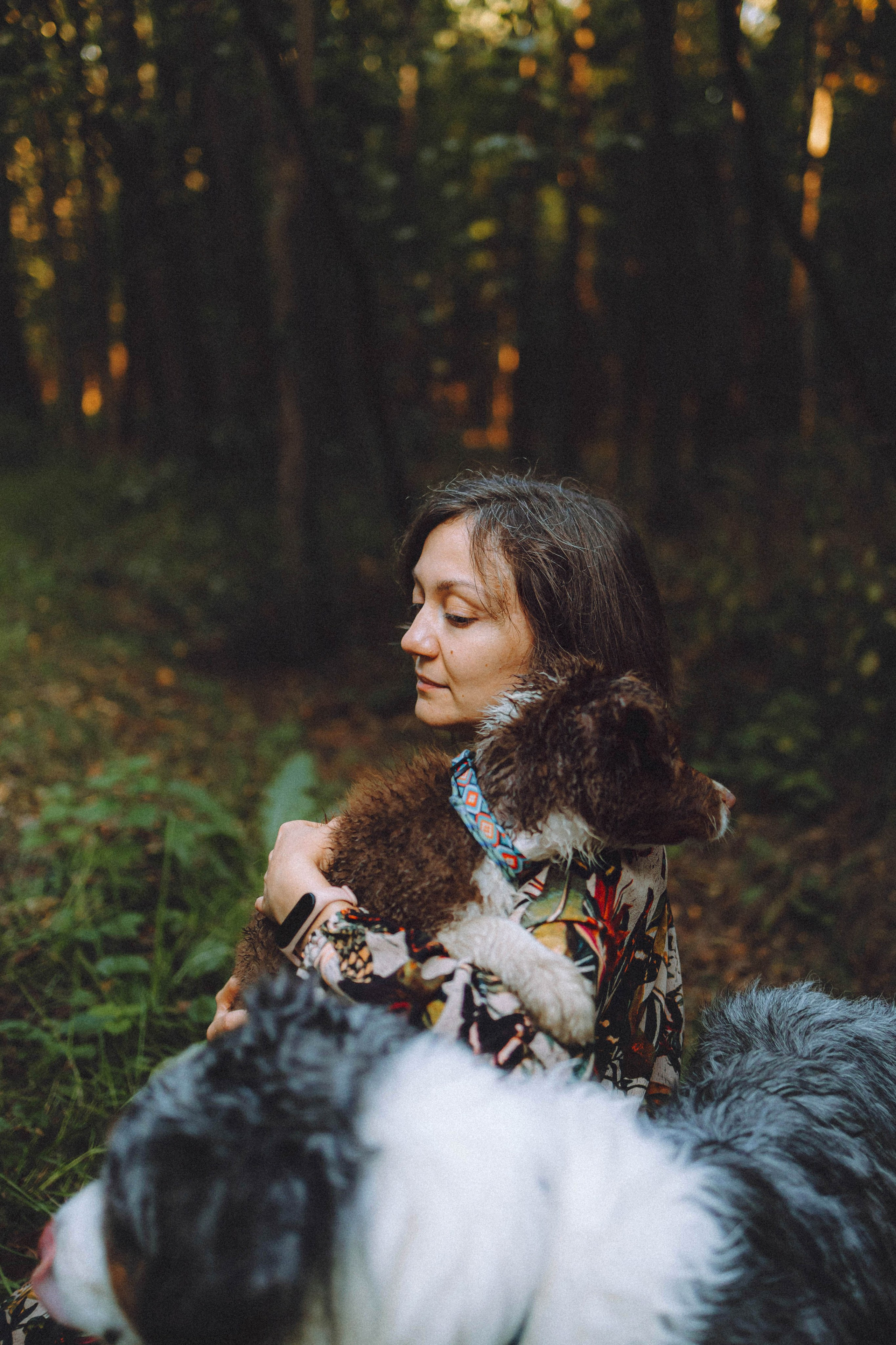 Лена, Принц и Фенек