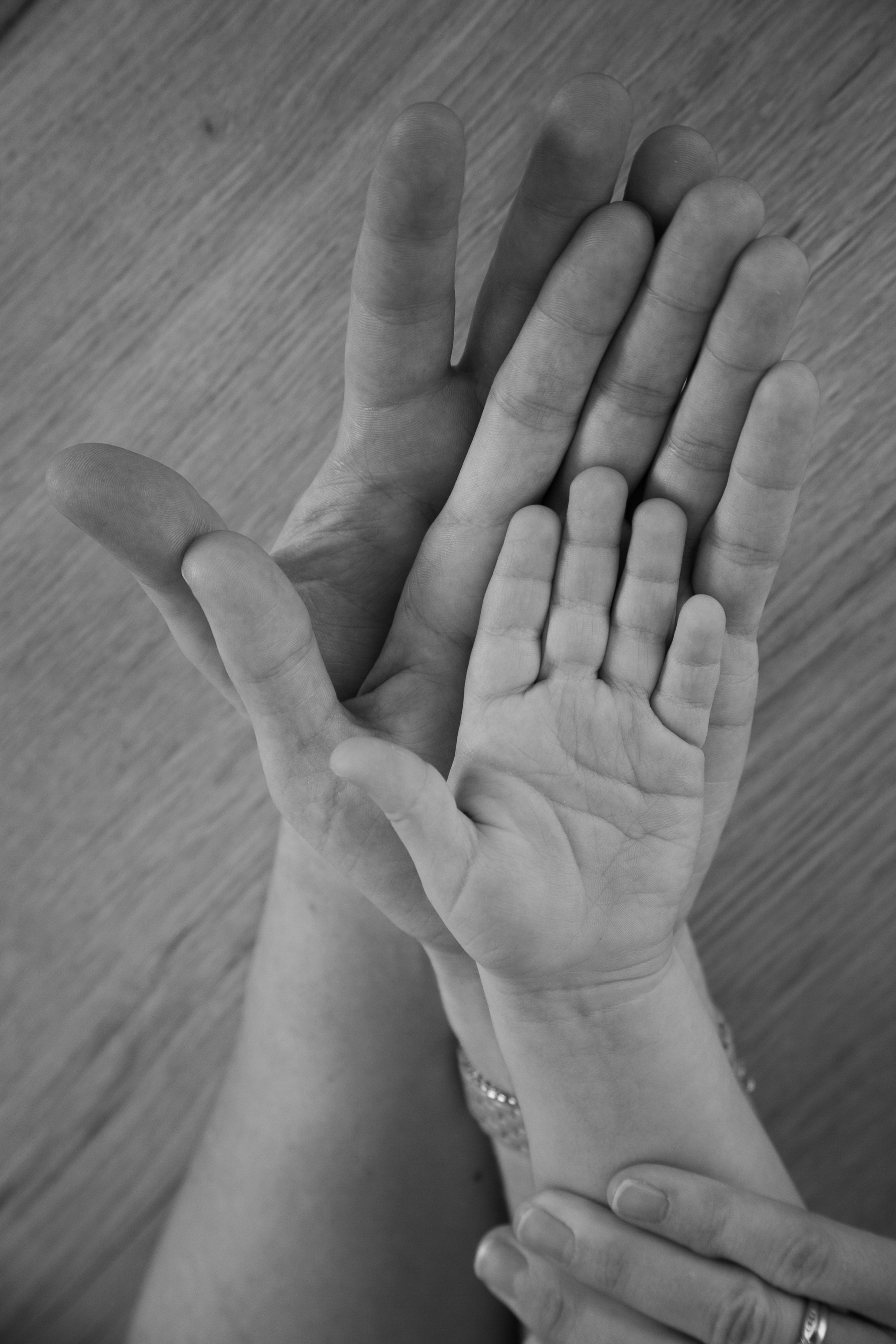 Семейная фотосессия. Фотостудия Панда