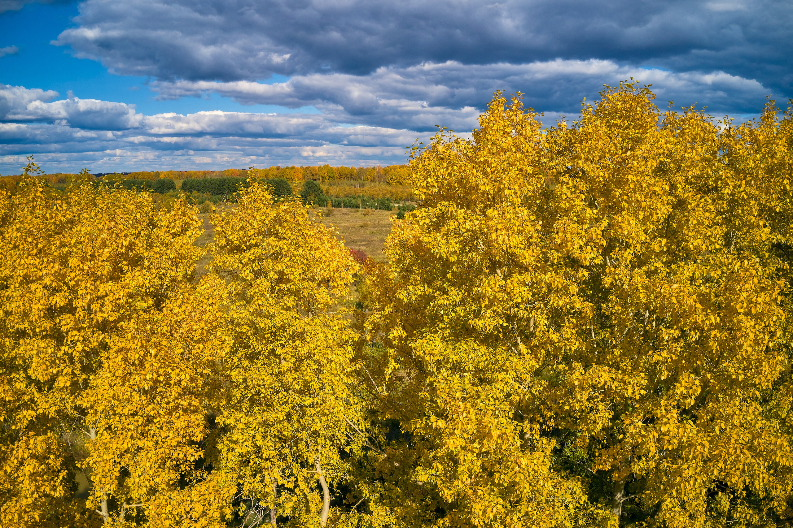 Съемка в полете. DMITRY MOISEENKO — фотограф, художник, топ-стилист