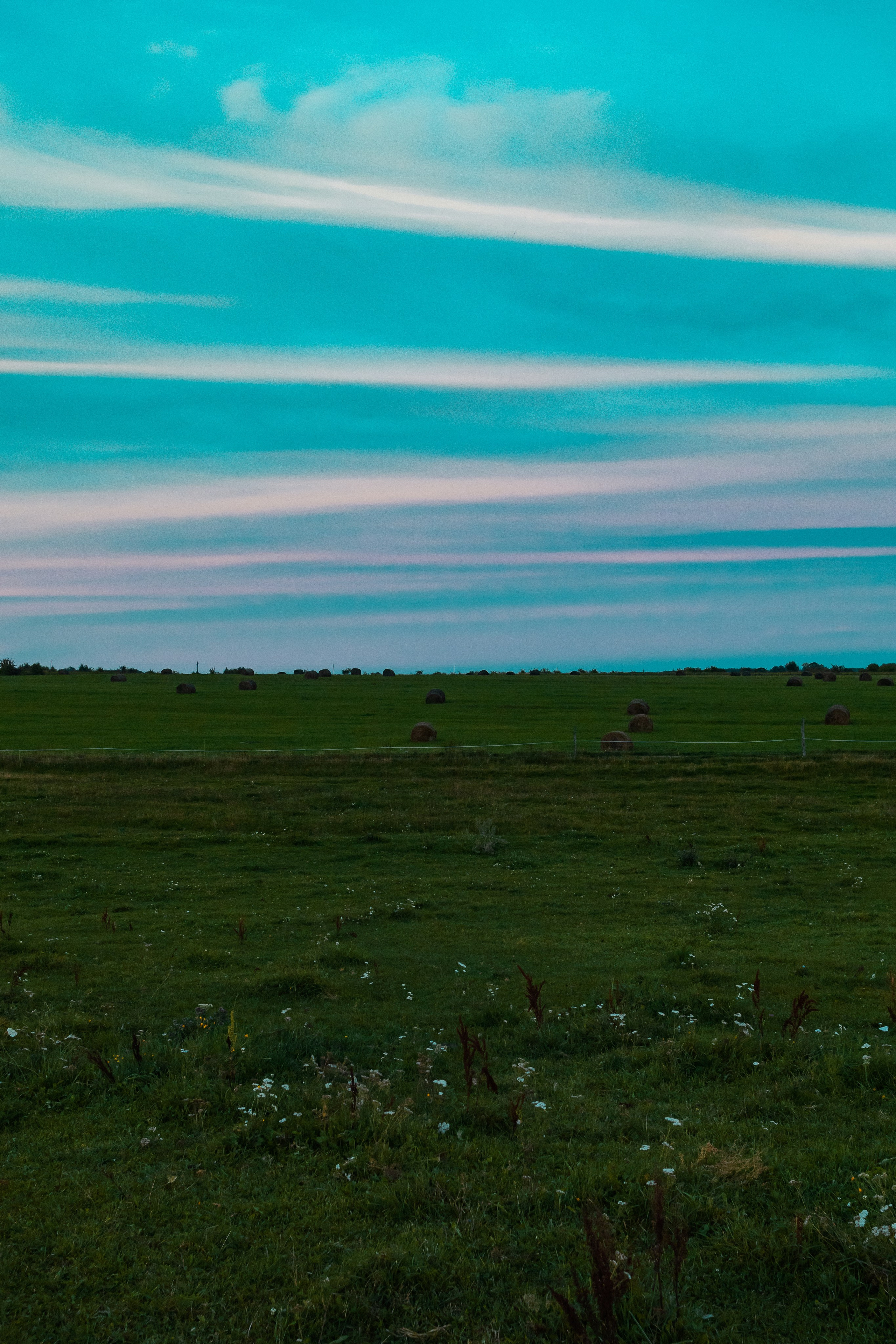 Деревня Мишнево | Калужская область. Папка кадров 📁