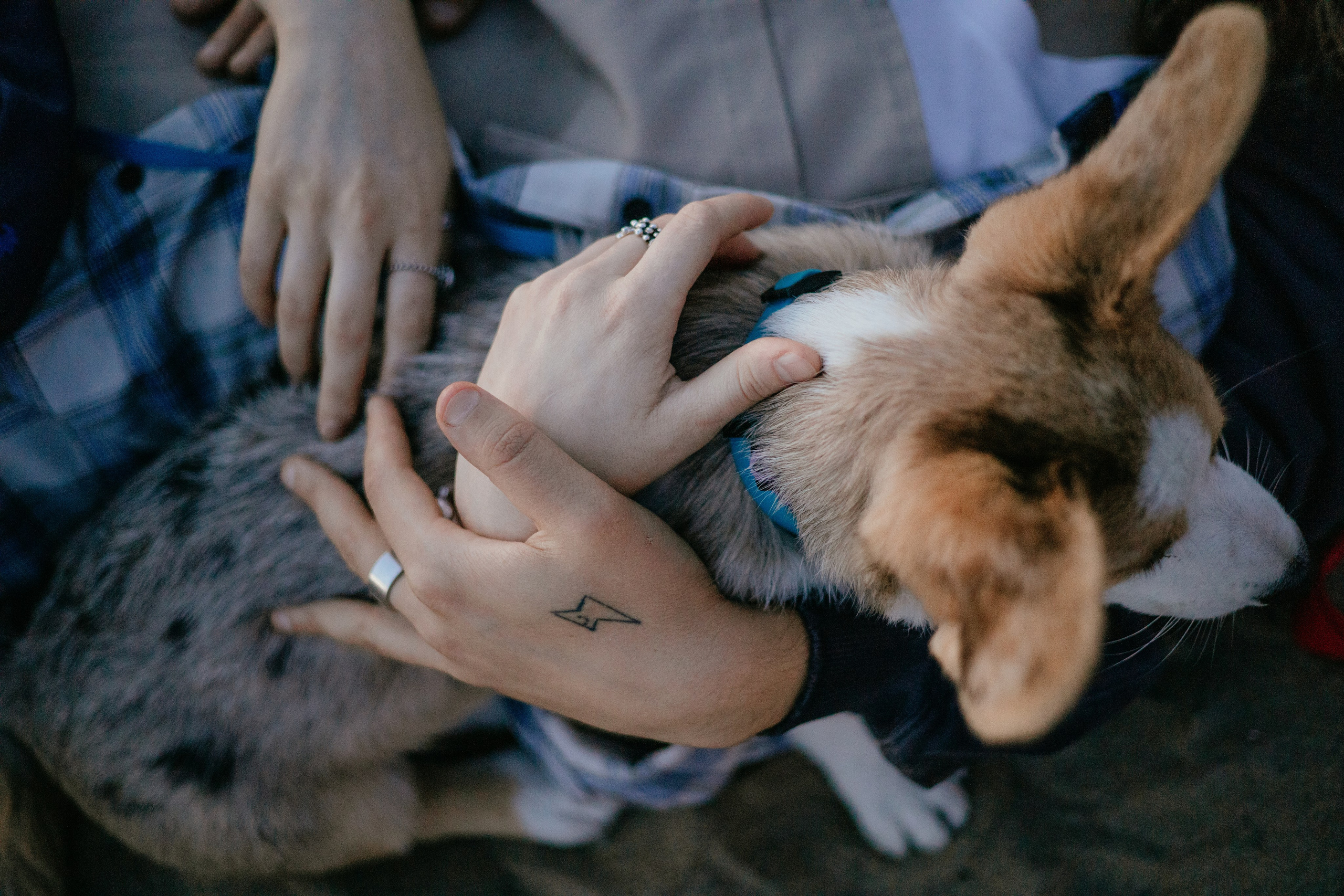 Не все дома