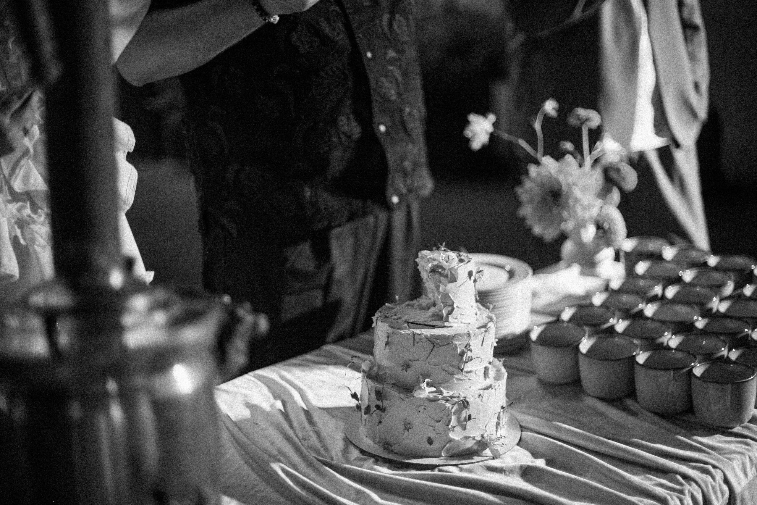 Аня и Кирилл (полный день с росписью). Фотограф Екатерина Максимова: семейные, индивидуальные съемки, свадьбы