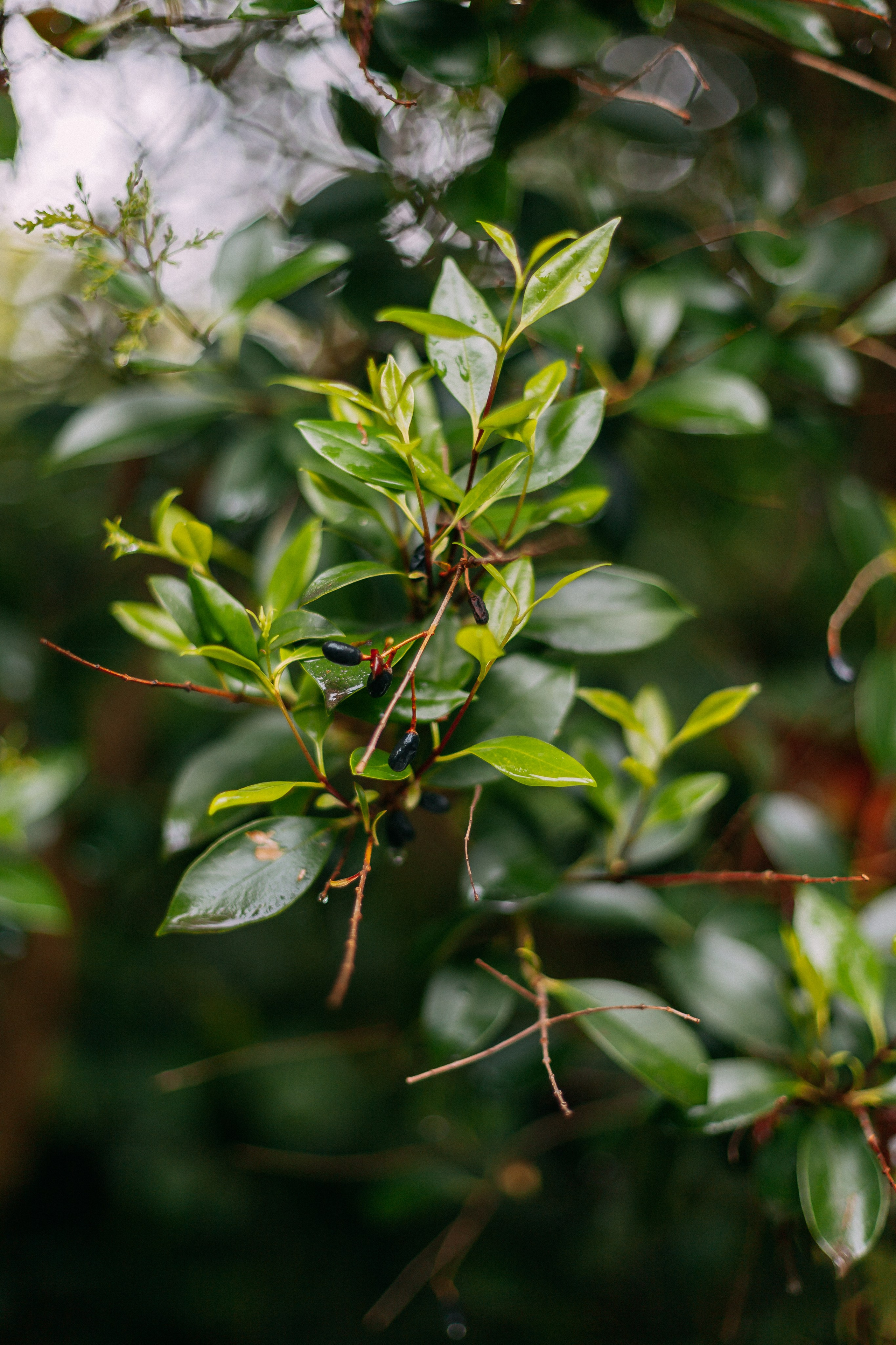 Сочи. Аня Степанова