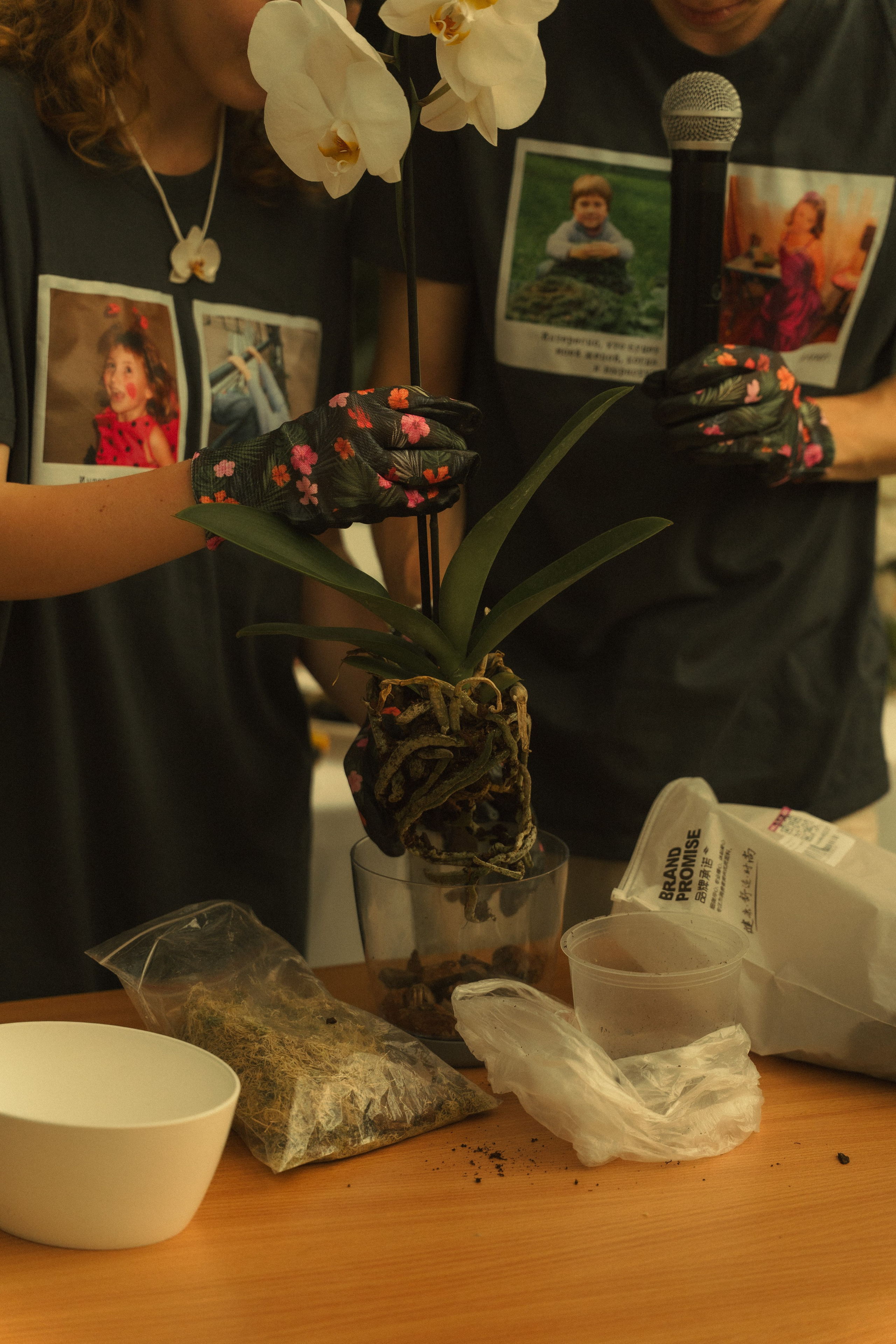 Свадьба Веры и Романа