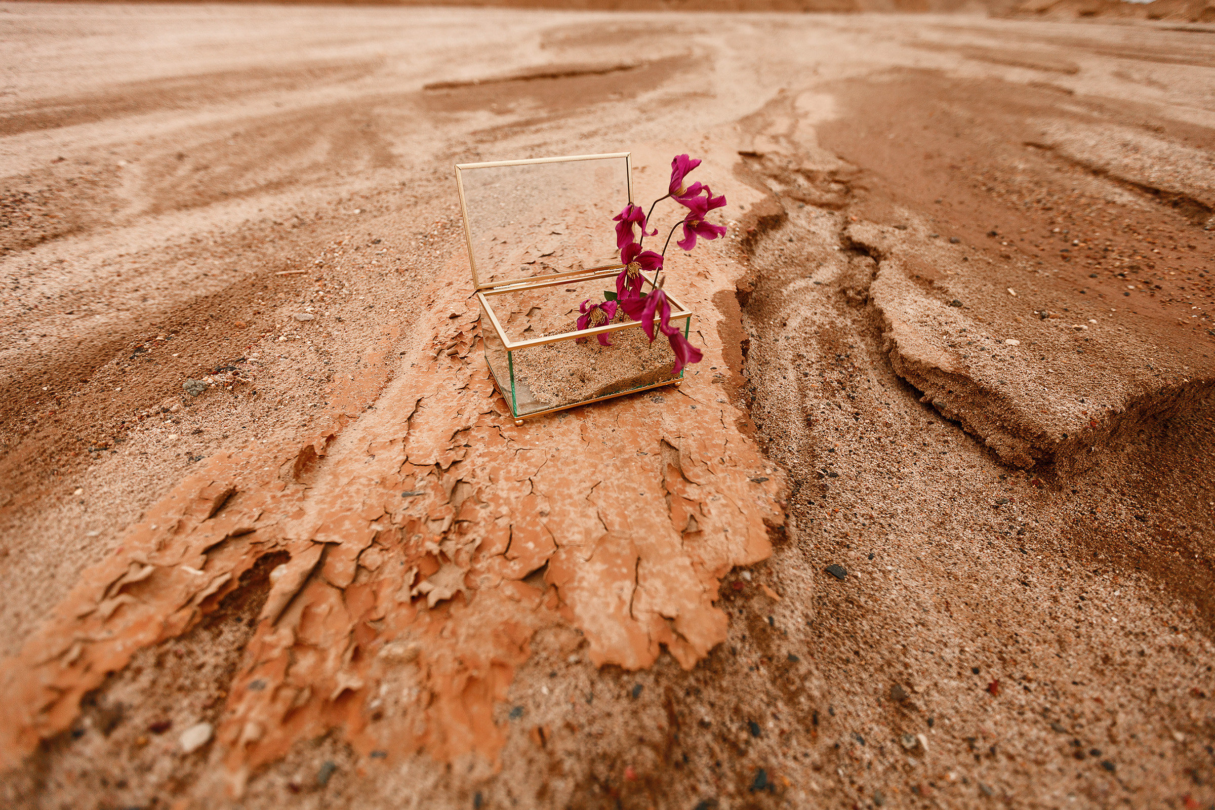 Wedding day Маша и Саша. Фотограф маркетлейсов в городе Иваново Галина Рябова