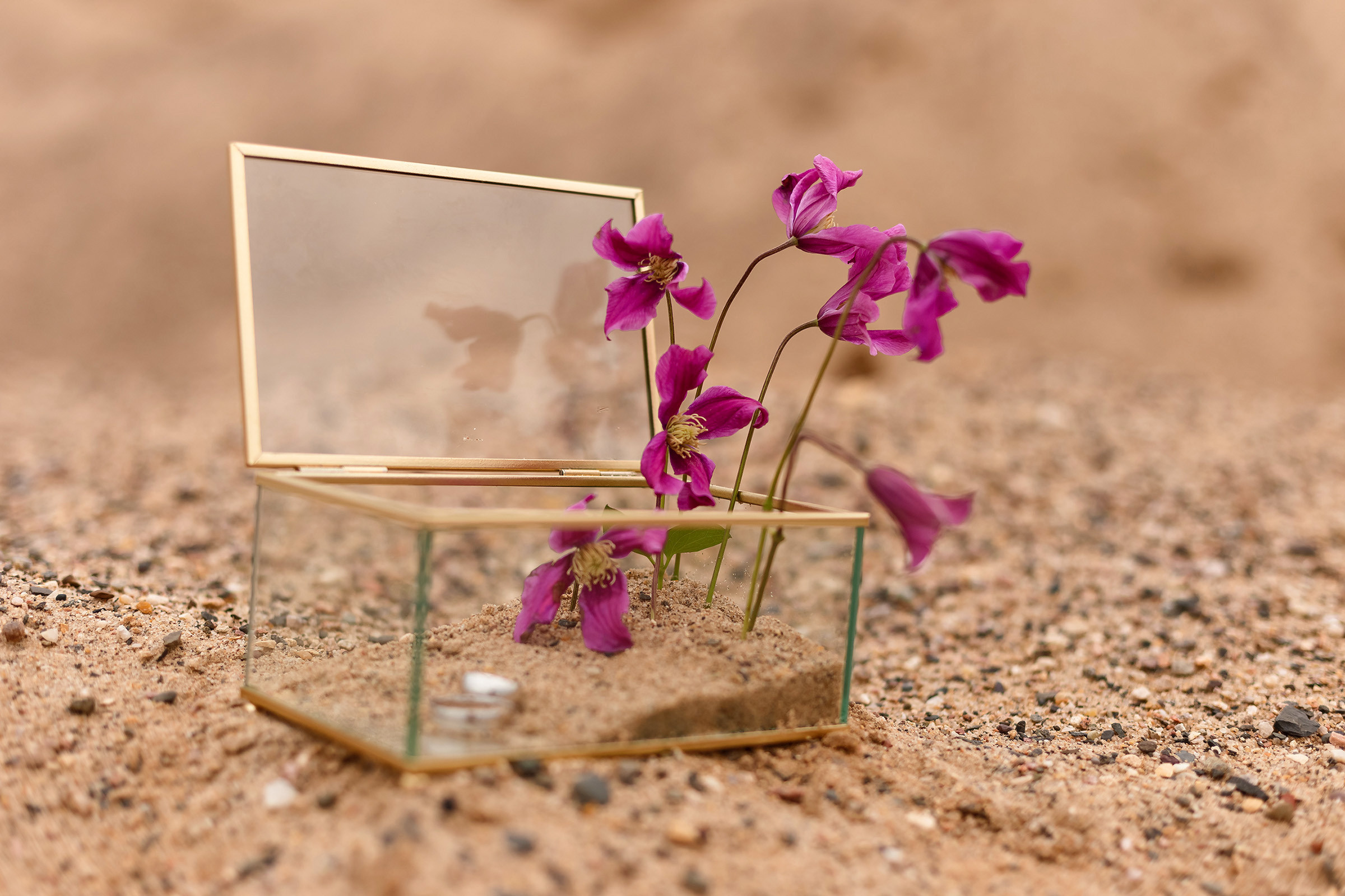 Wedding day Маша и Саша. Фотограф маркетлейсов в городе Иваново Галина Рябова