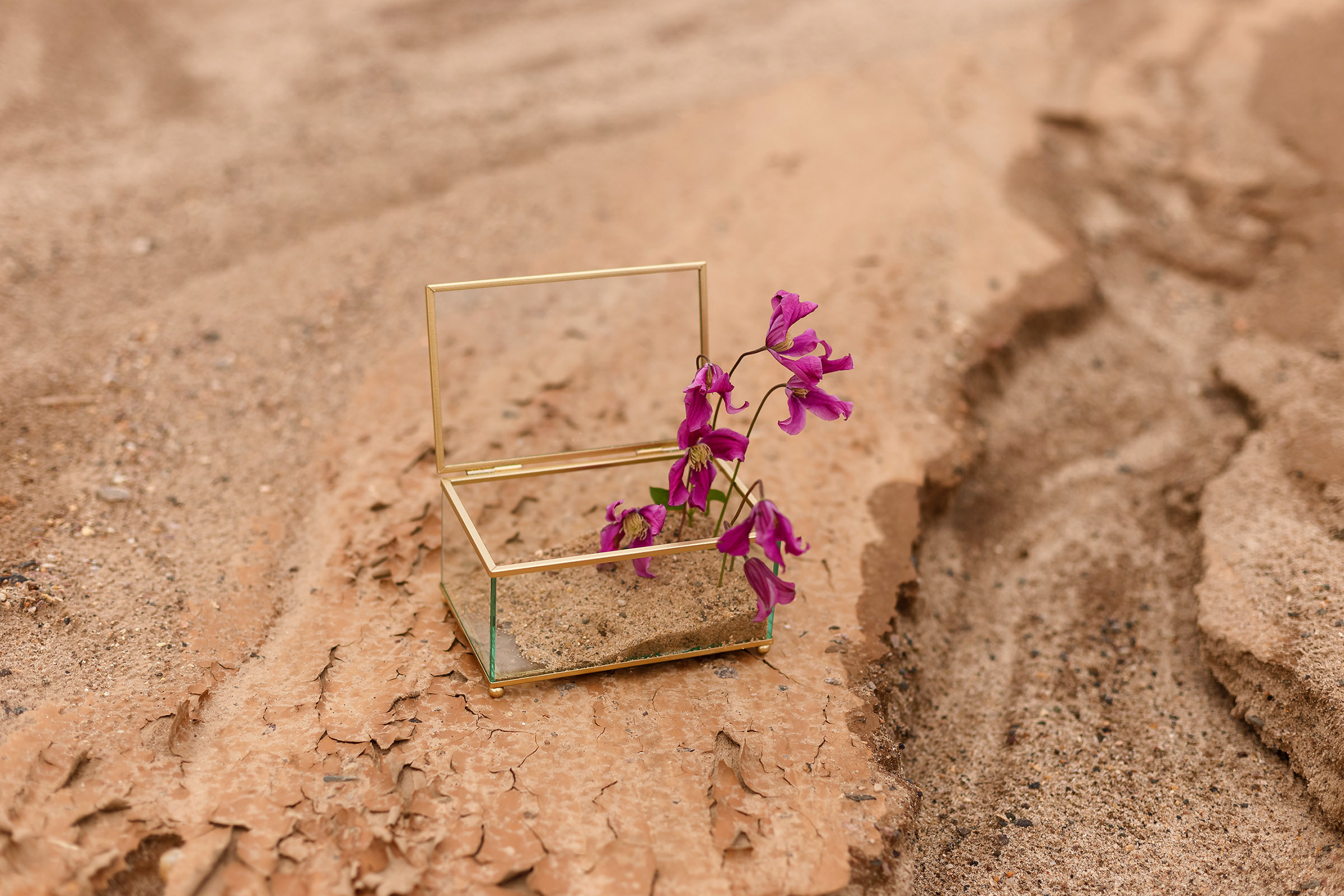 Wedding day Маша и Саша. Фотограф маркетлейсов в городе Иваново Галина Рябова