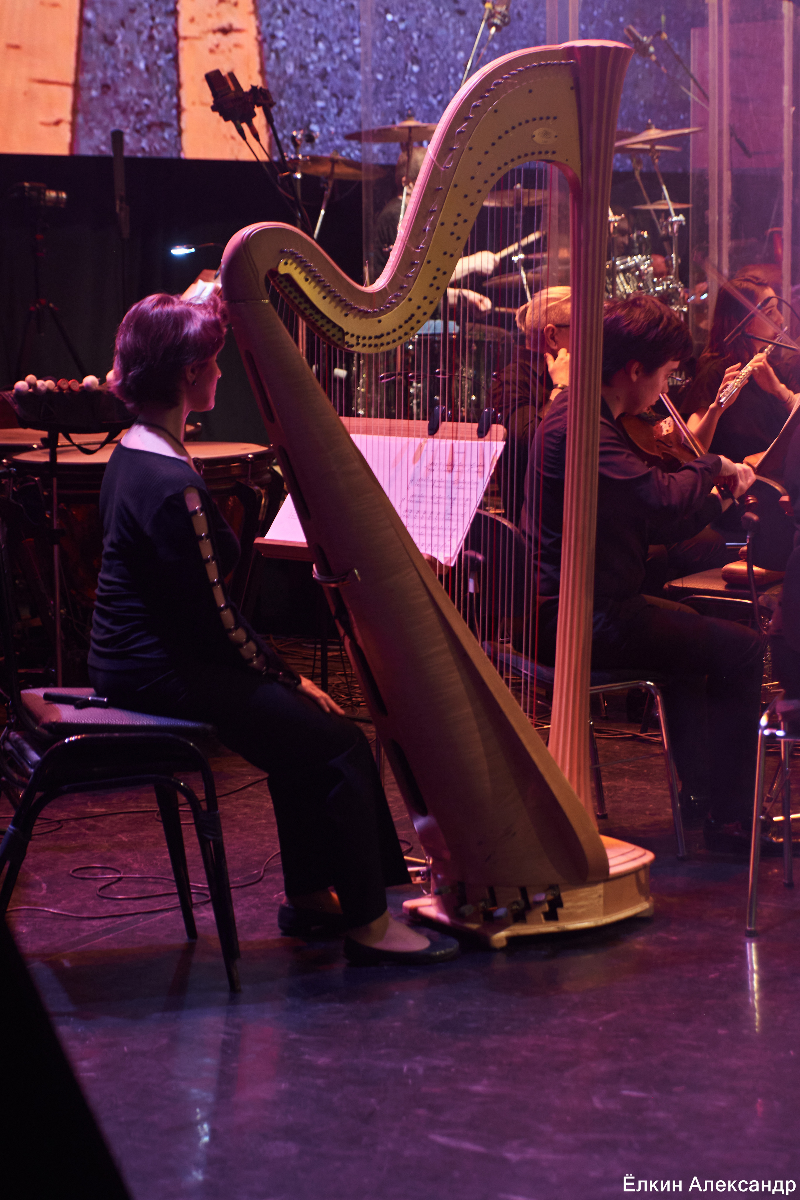 16 Апреля Артур Беркут с оркестром и Рок группа «Пасаш». Ёлкин Александр Фотограф