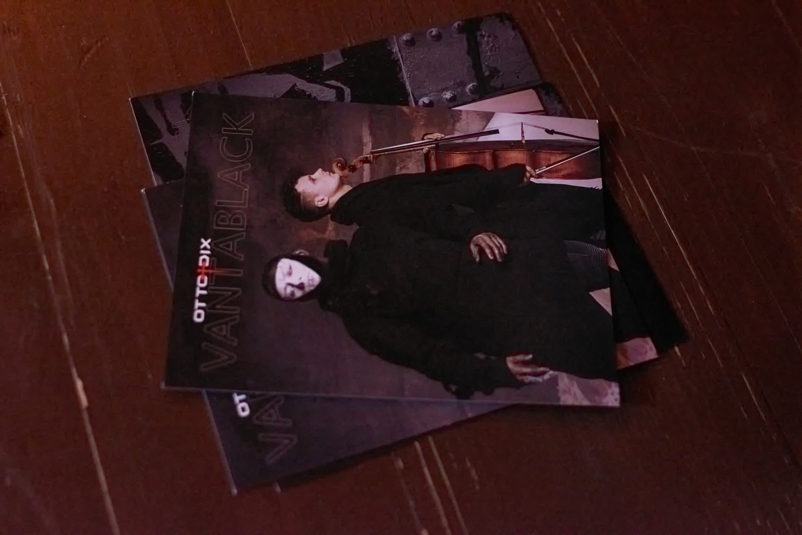 Otto Dix. Ёлкин Александр Фотограф