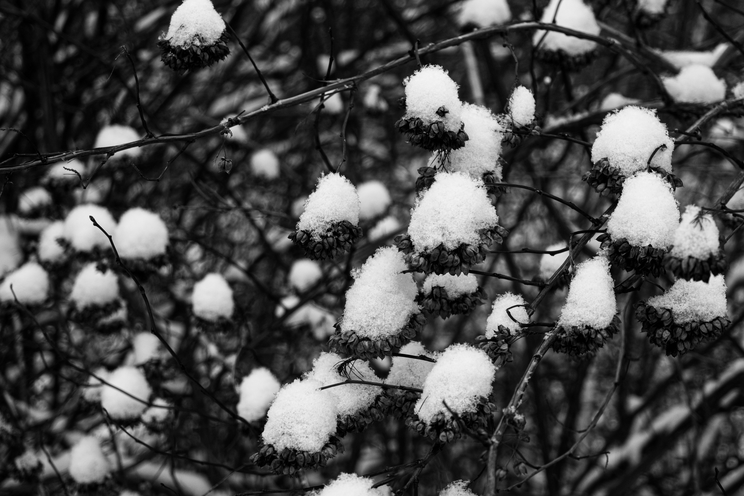 Декабрь. Портретный и архитектурный фотограф в Москве и Санкт-Петербурге