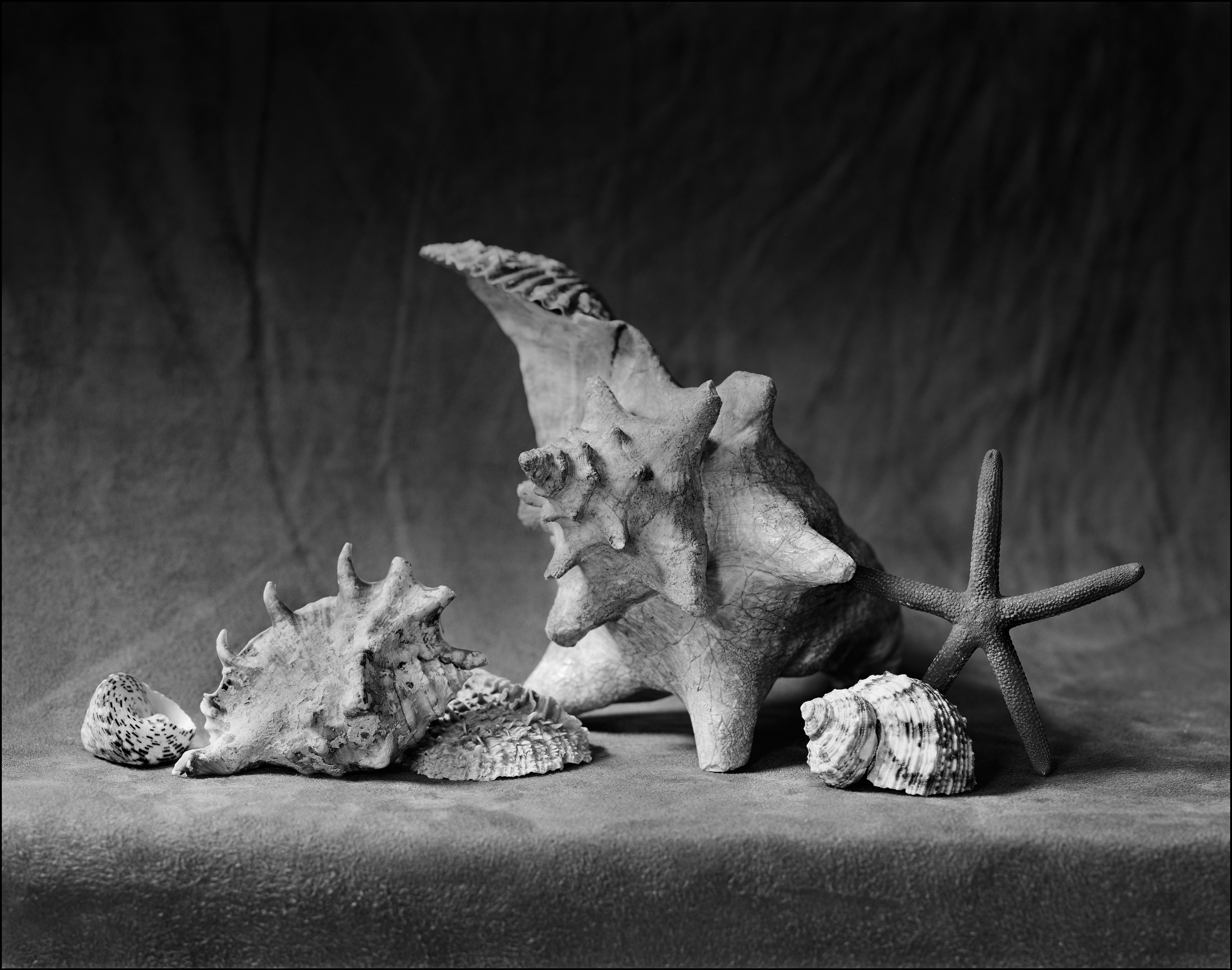 Натюрморт. Кондрюк Сергей фотограф |художник