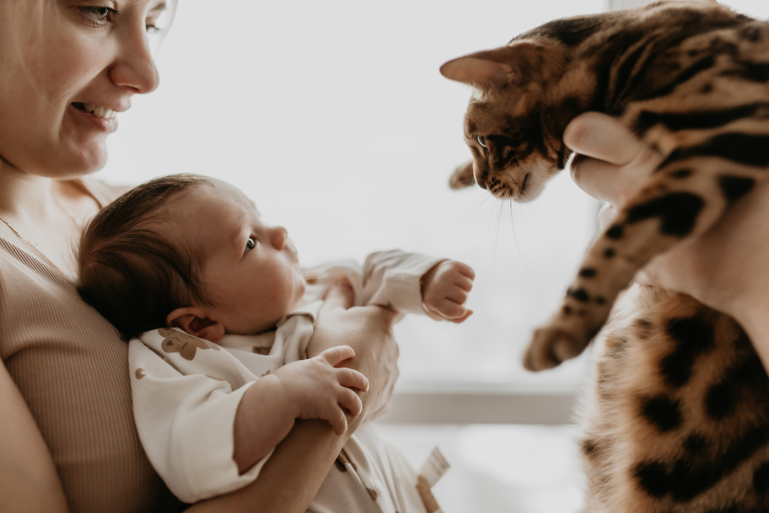 Домашняя съемка. Olga.filippova.photo