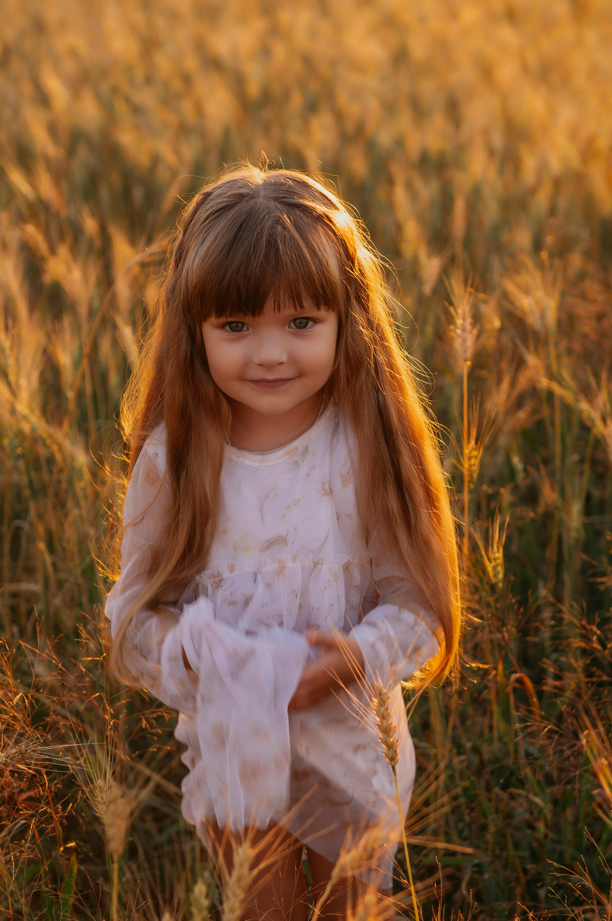 Пшеничный закат. Фотограф Дарья Семина