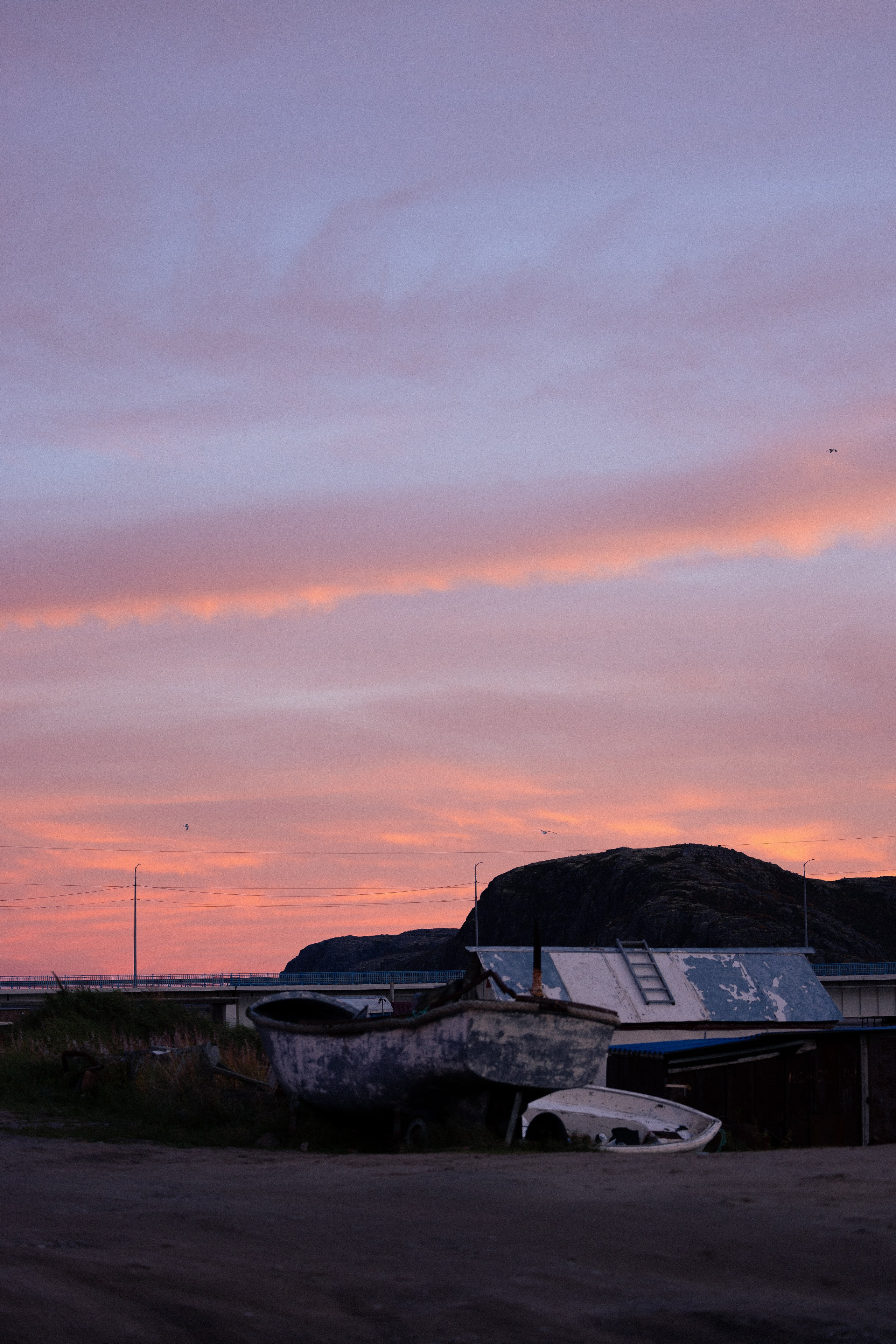 Кольский. Фотограф и видеограф анималист Аганина Дарья